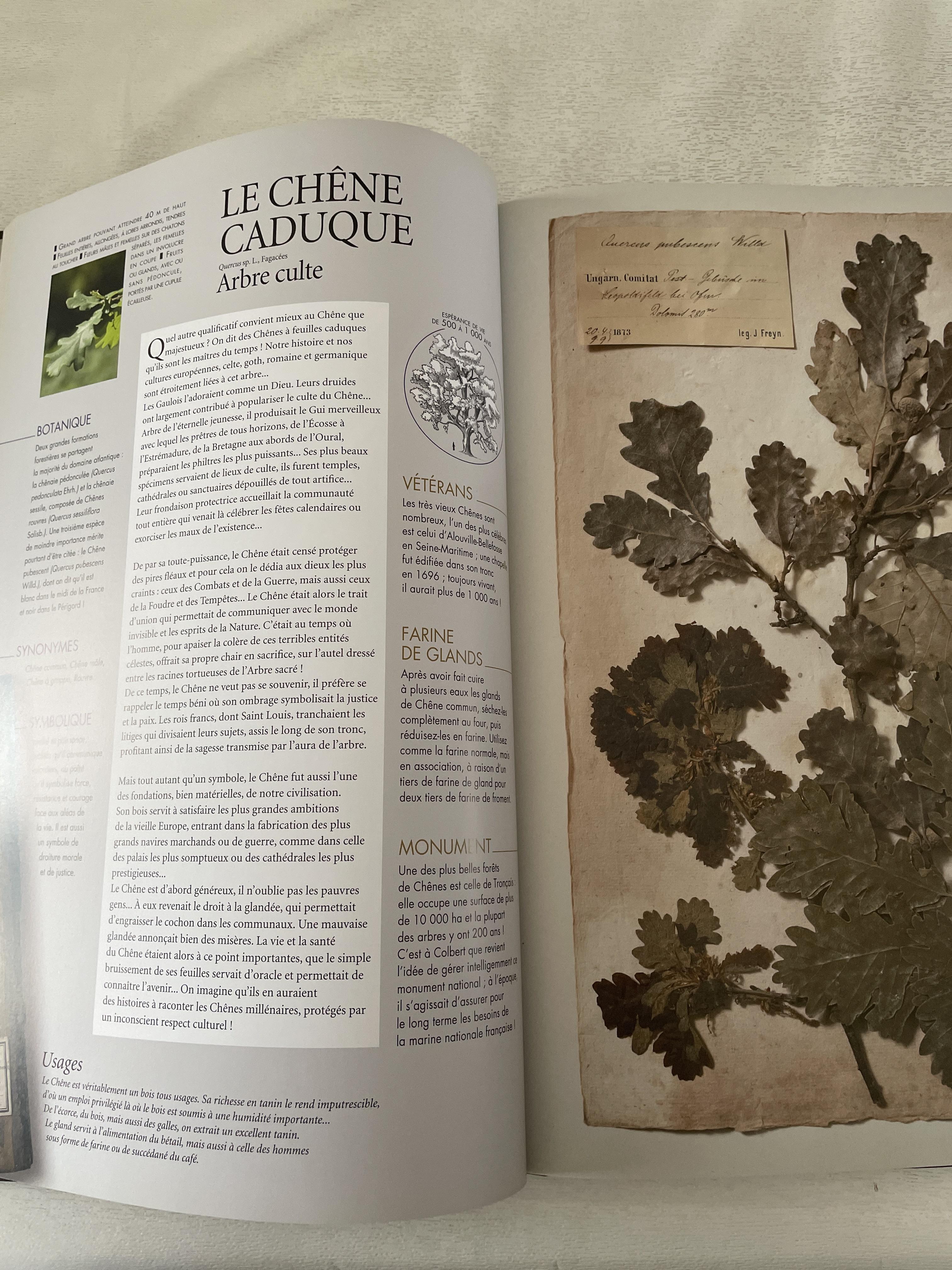 troc de troc l herbier boisé image 2