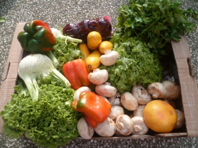 troc de troc echange légumes contre oeufs de poule image 0