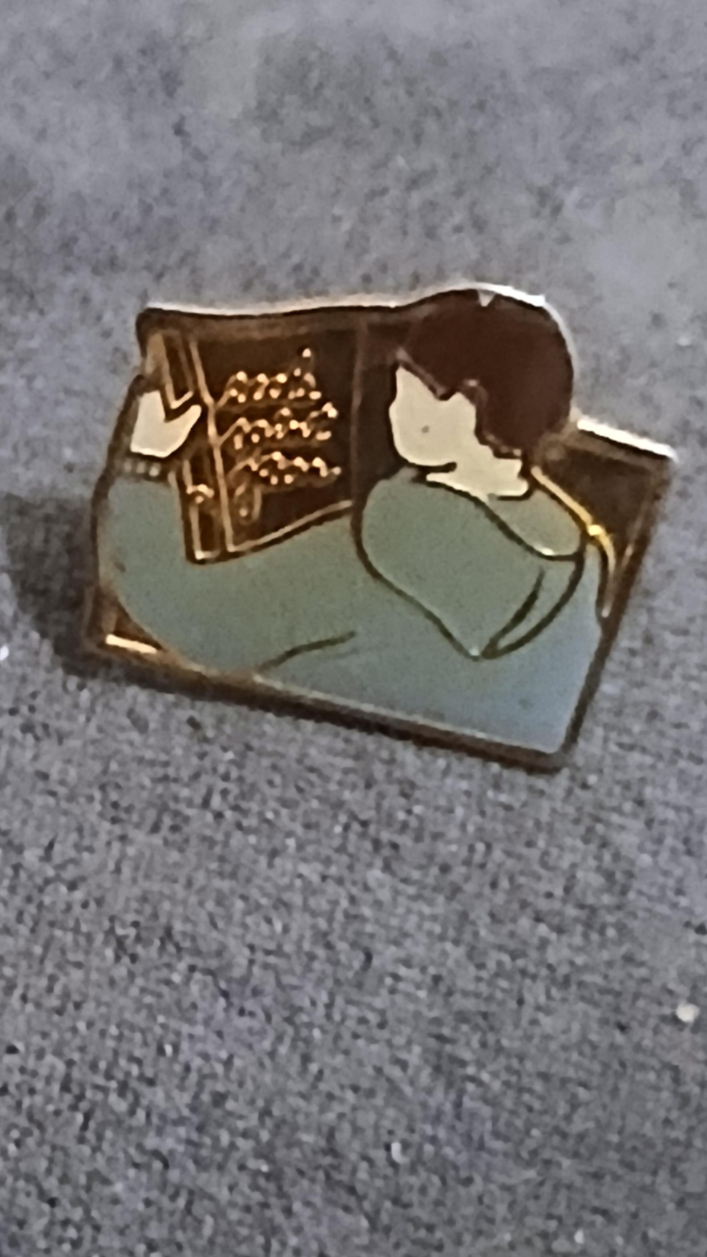 troc de troc un pins image 0