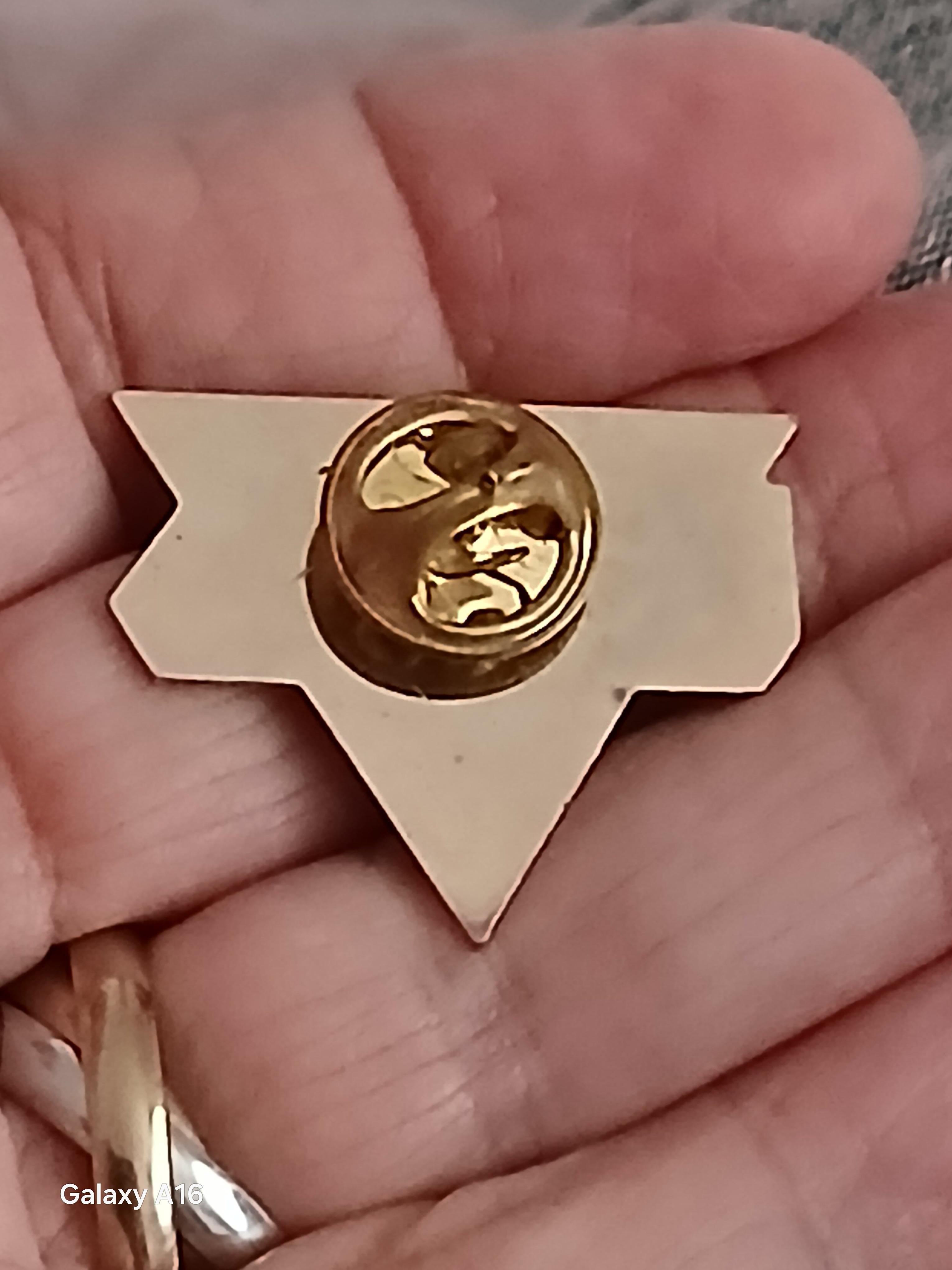 troc de troc reserver sophie un pins image 2