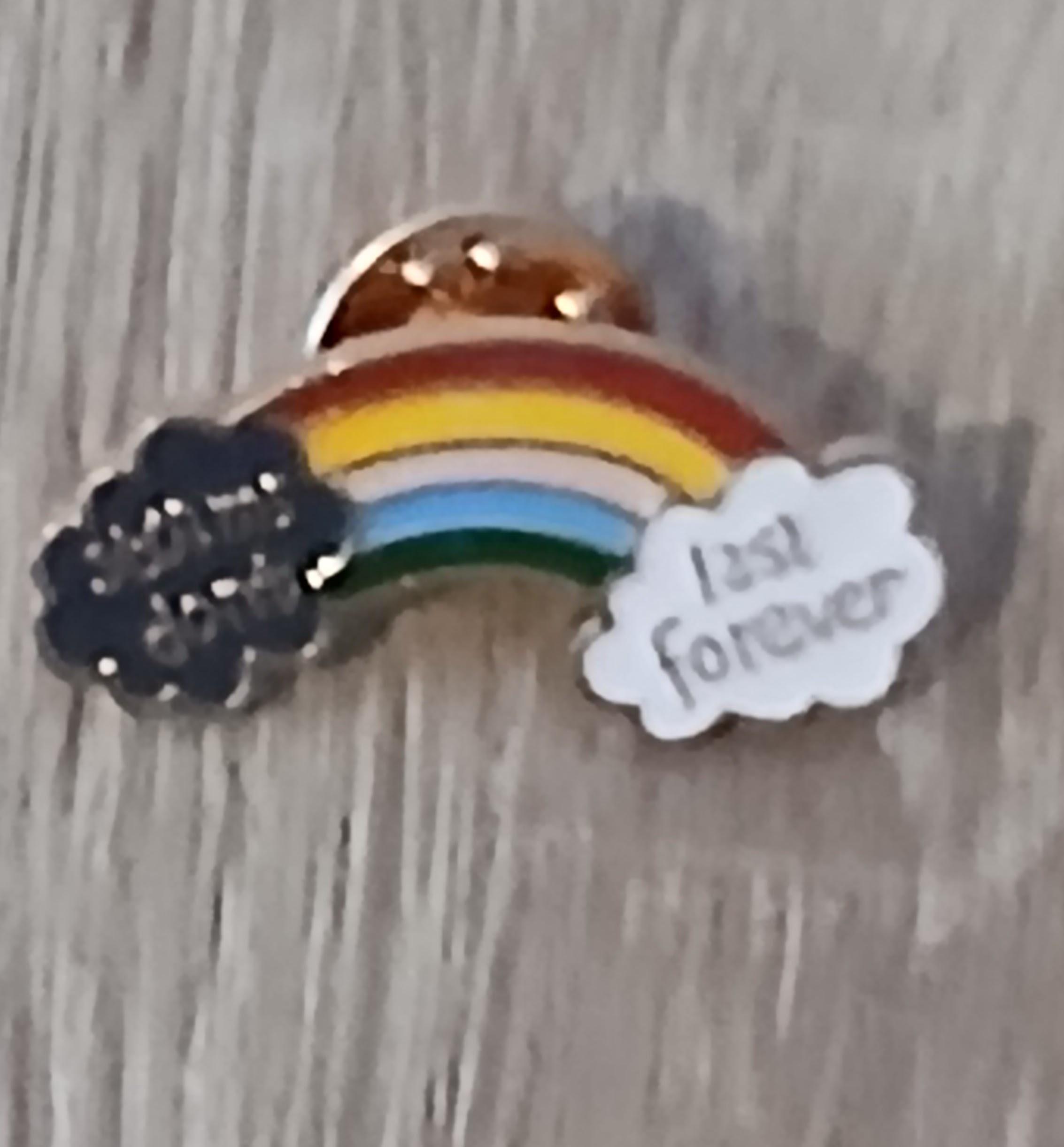 troc de troc un pins image 1