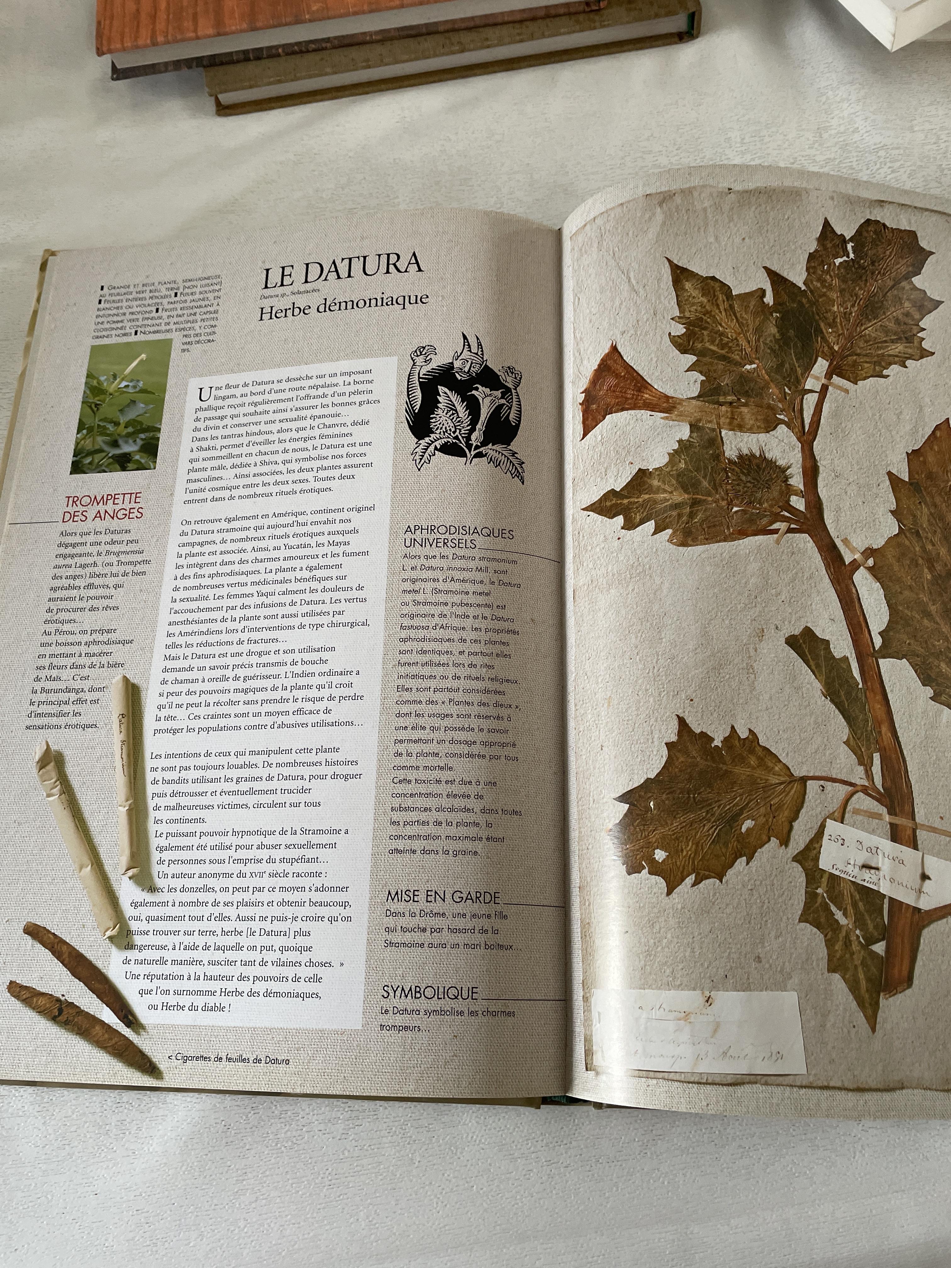 troc de troc l herbier érotique image 2