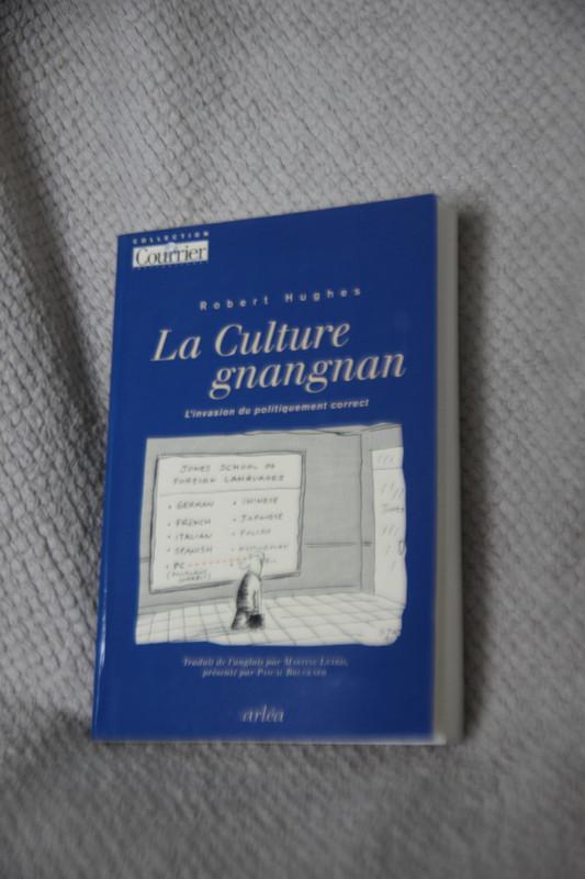 troc de troc la culture gnangnan - l'invasion du politiquement correct image 0