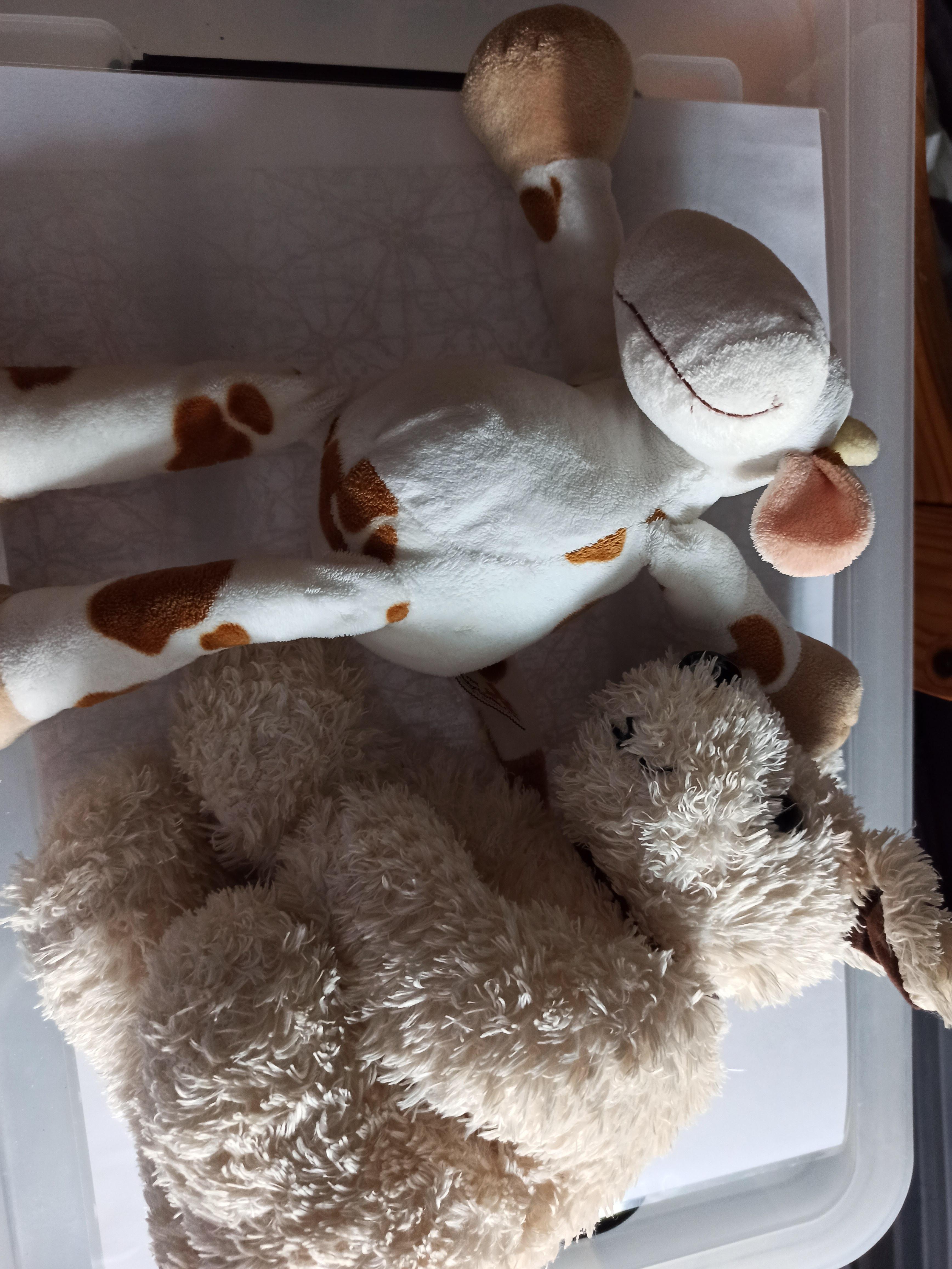 troc de troc réservé peluche vache et chien image 0