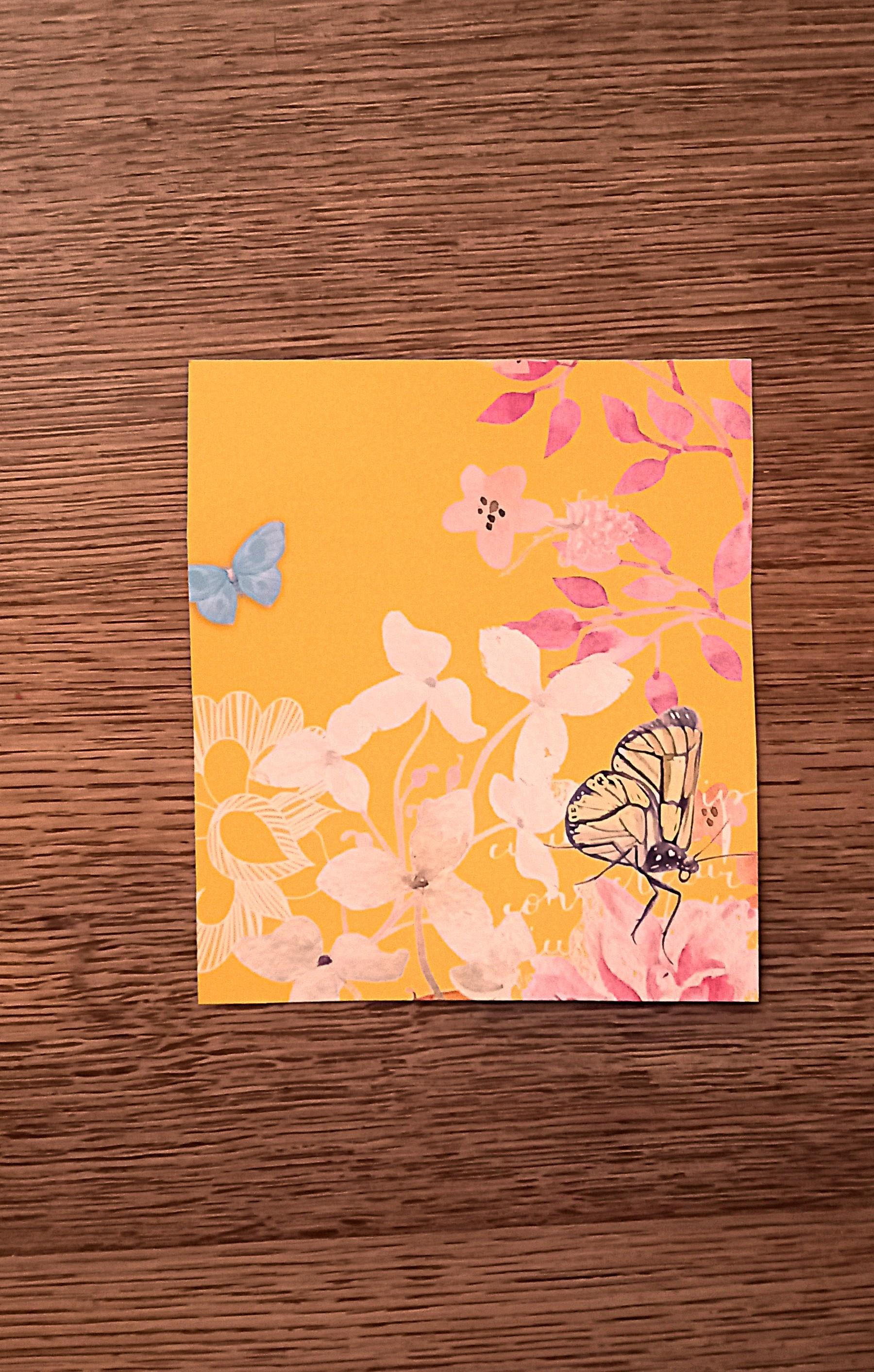 troc de troc carte "papillons". image 0