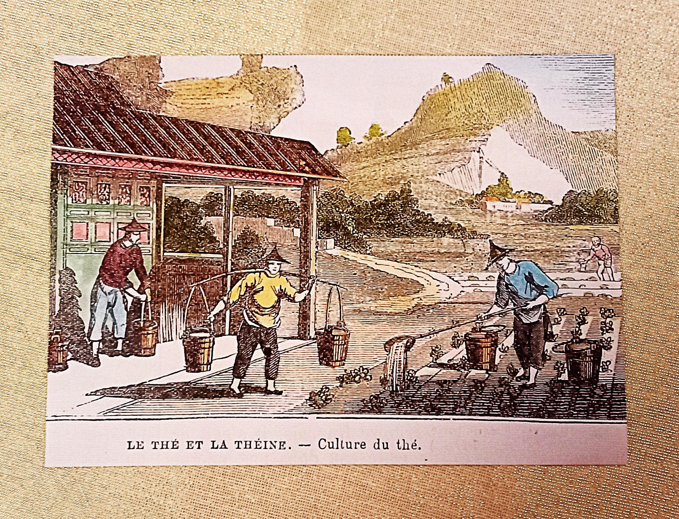 troc de troc affiche recto/verso. image 0