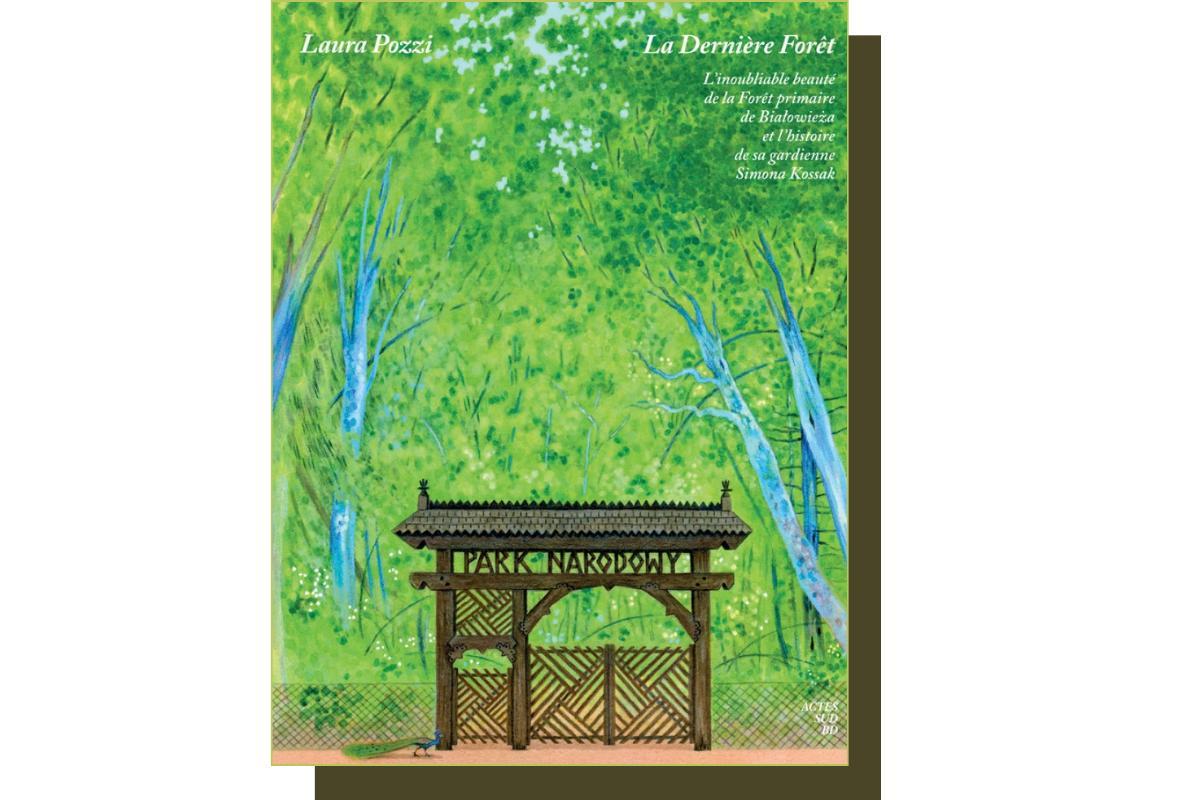 troc de troc recherche la bd " la dernière forêt " de laura pozzi image 0