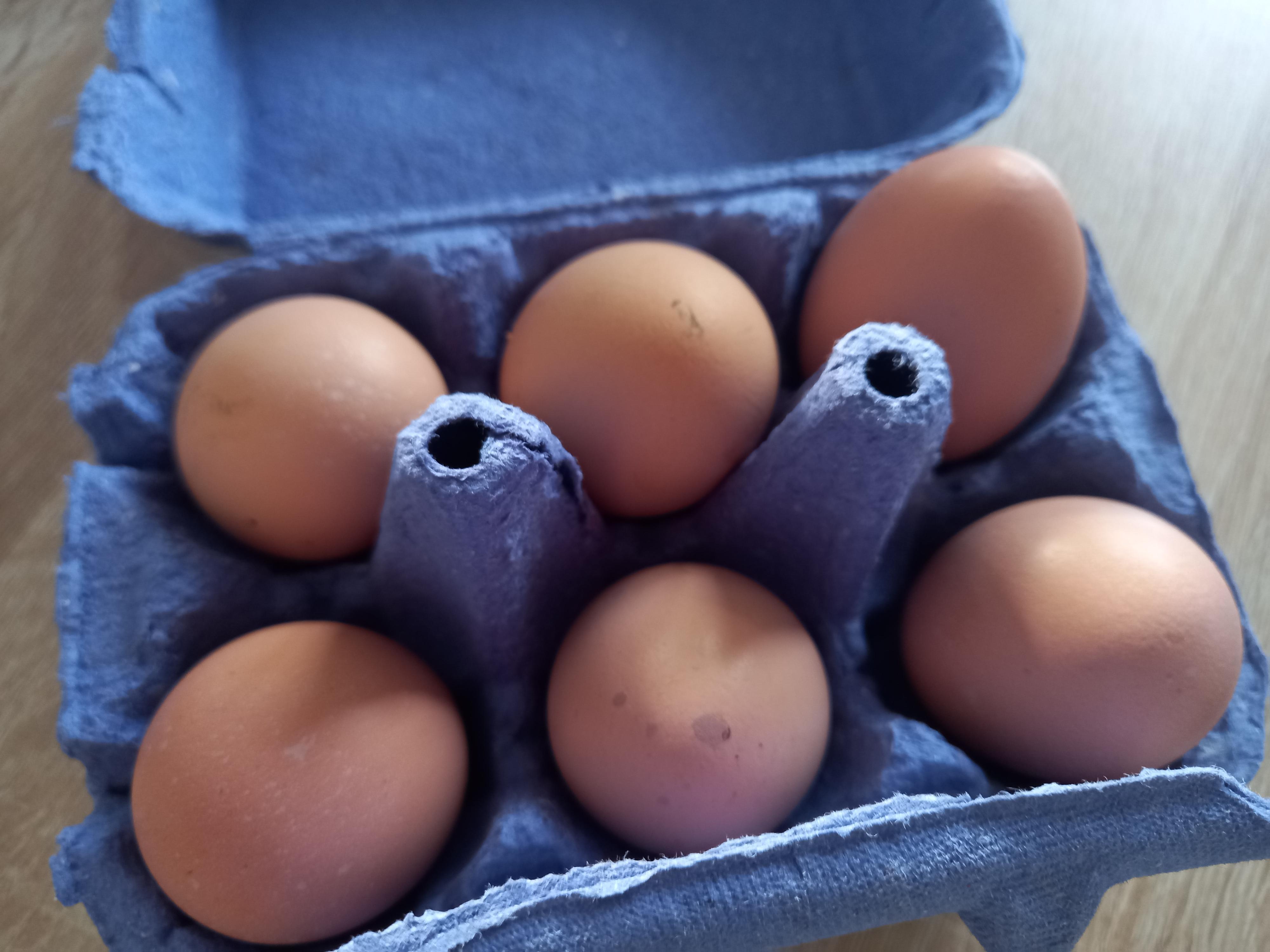 troc de troc 6 œufs de poule bio image 0