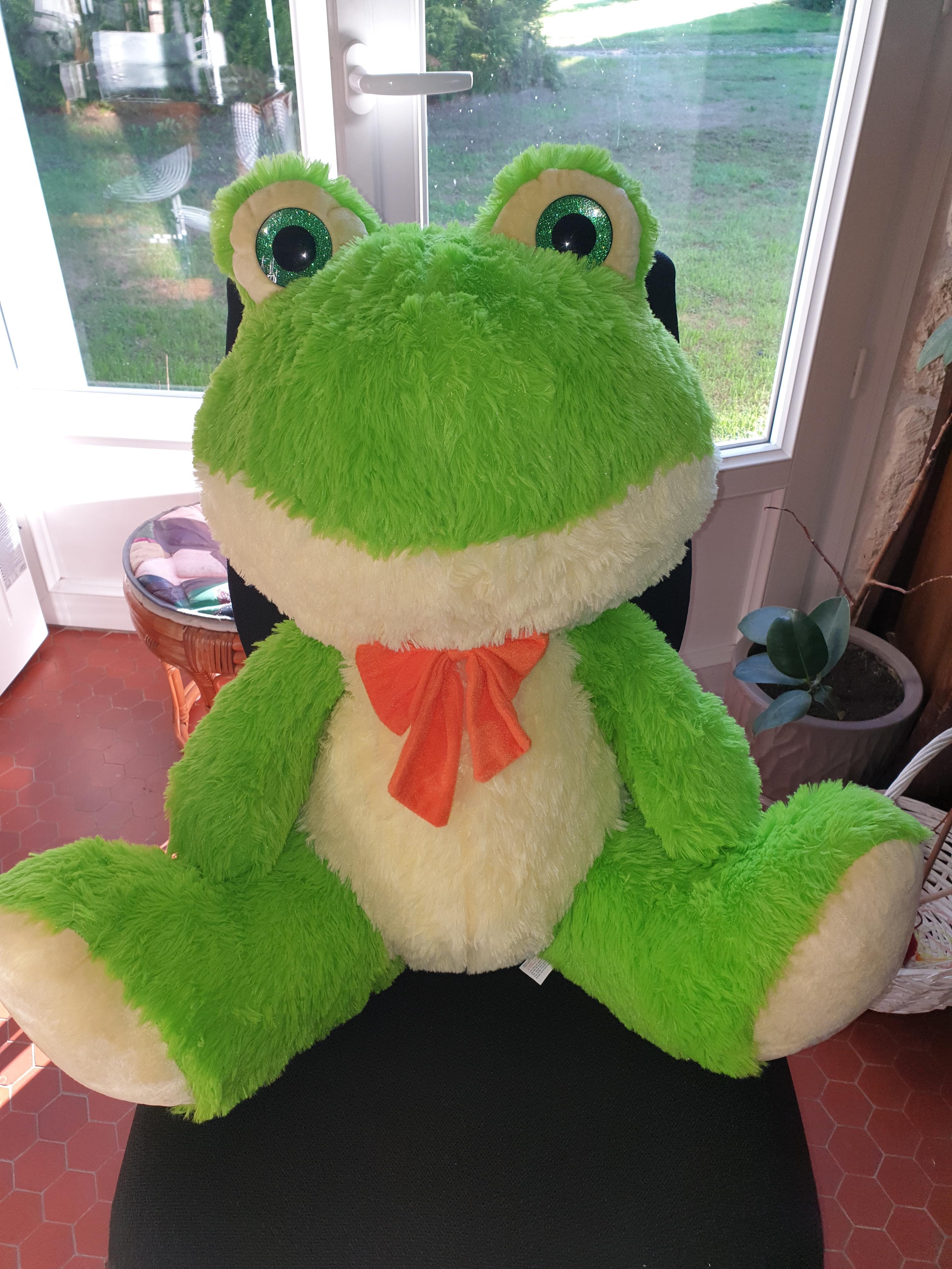 troc de troc grosse peluche grenouille image 2