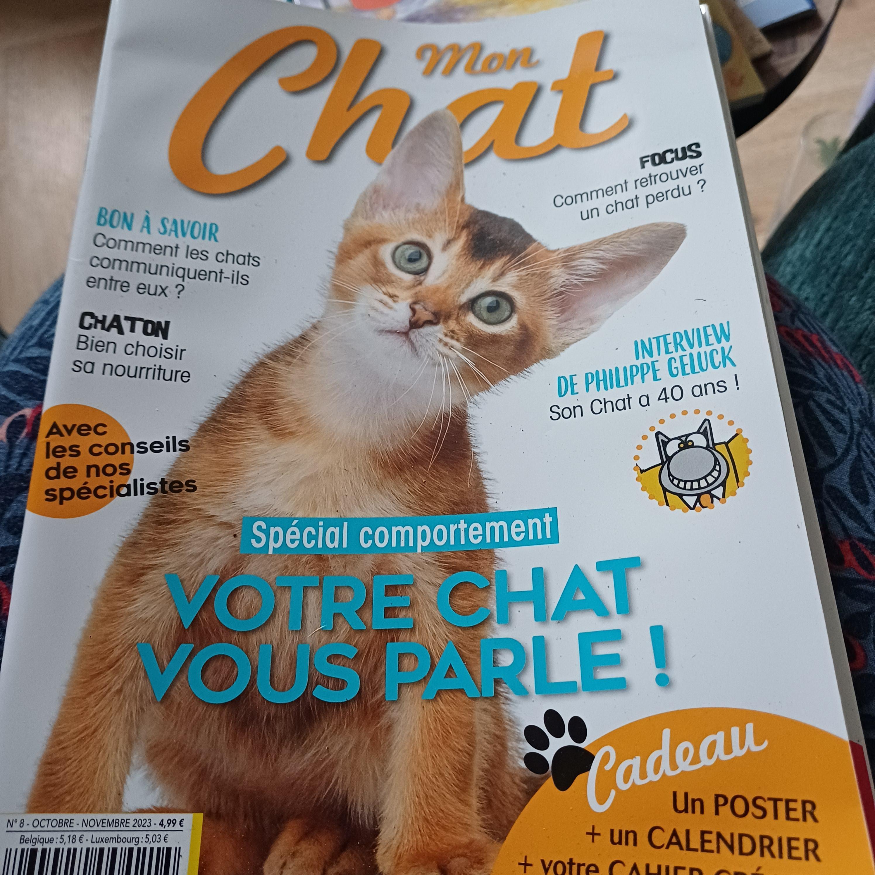 troc de troc le chat image 2