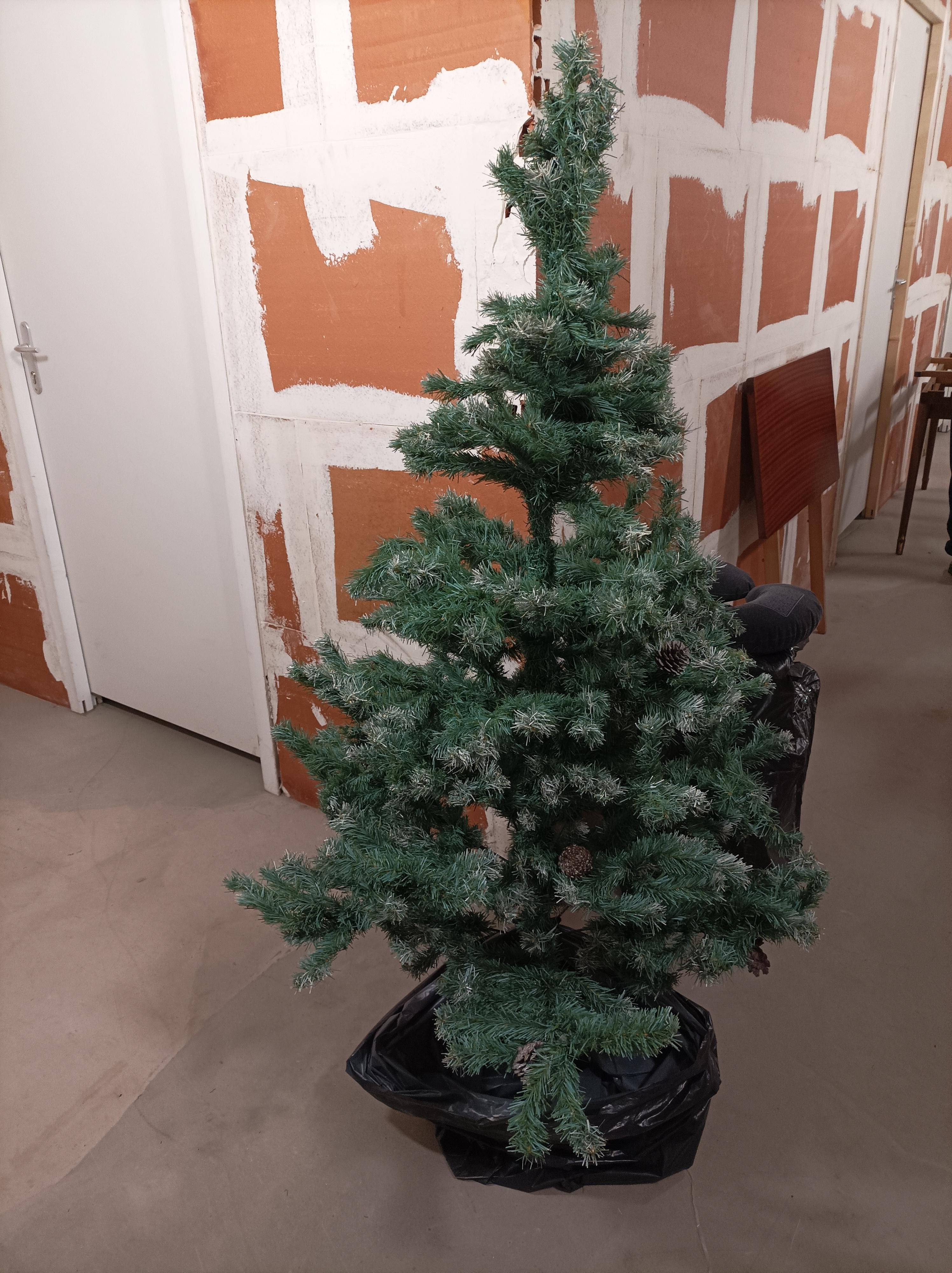 troc de troc sapin contre feves image 0