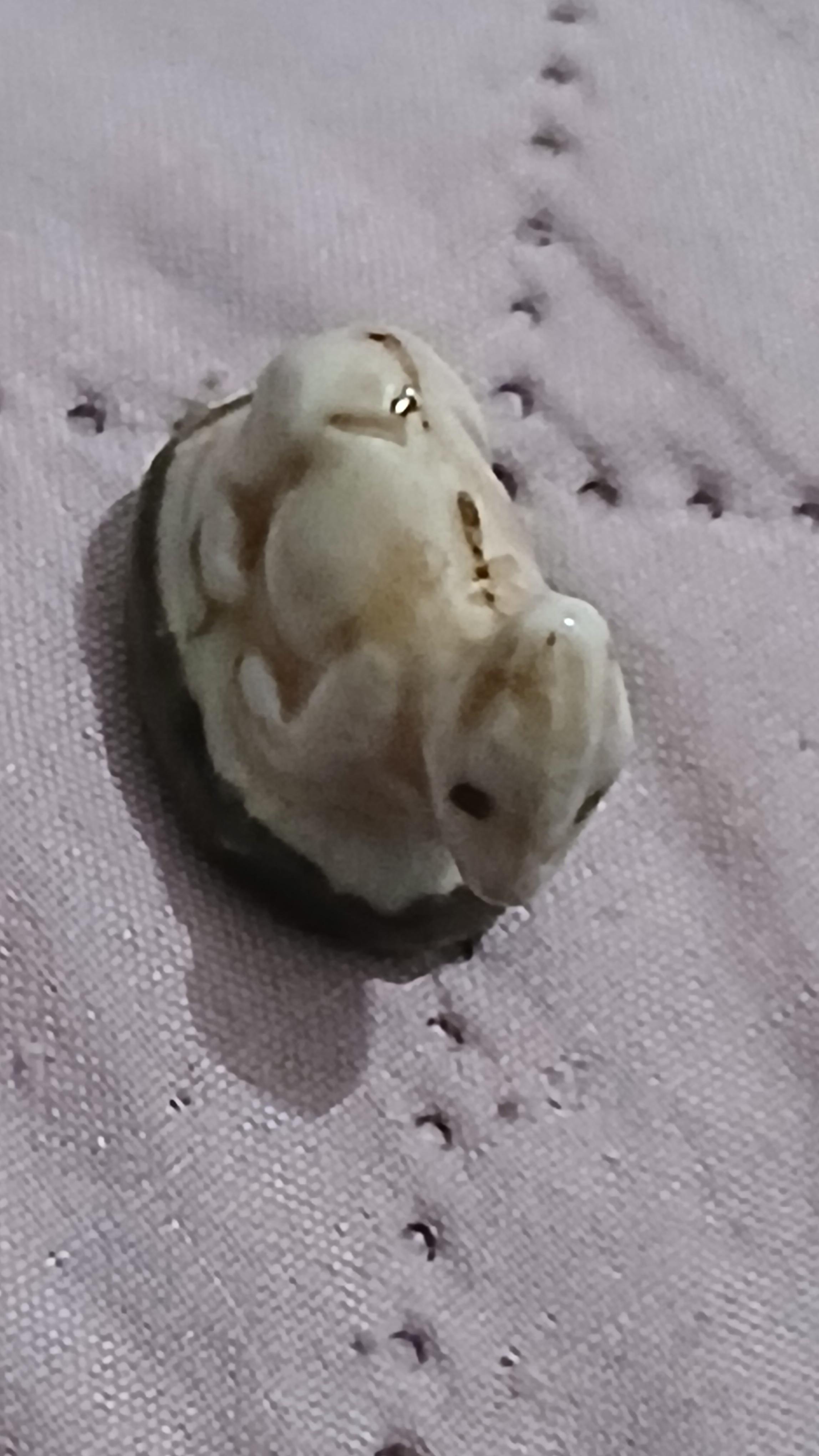 troc de troc une fève image 0