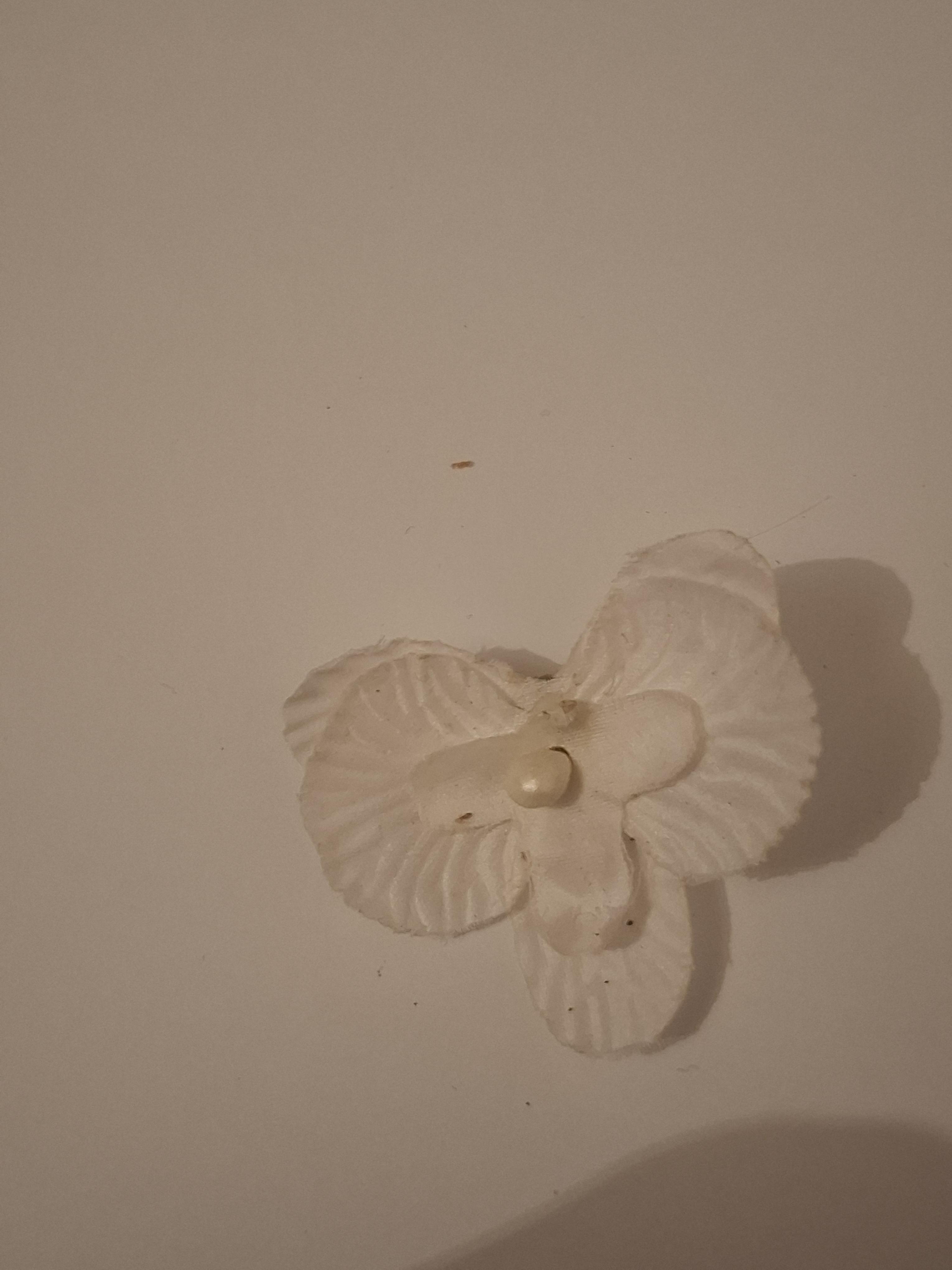 troc de troc broche image 0