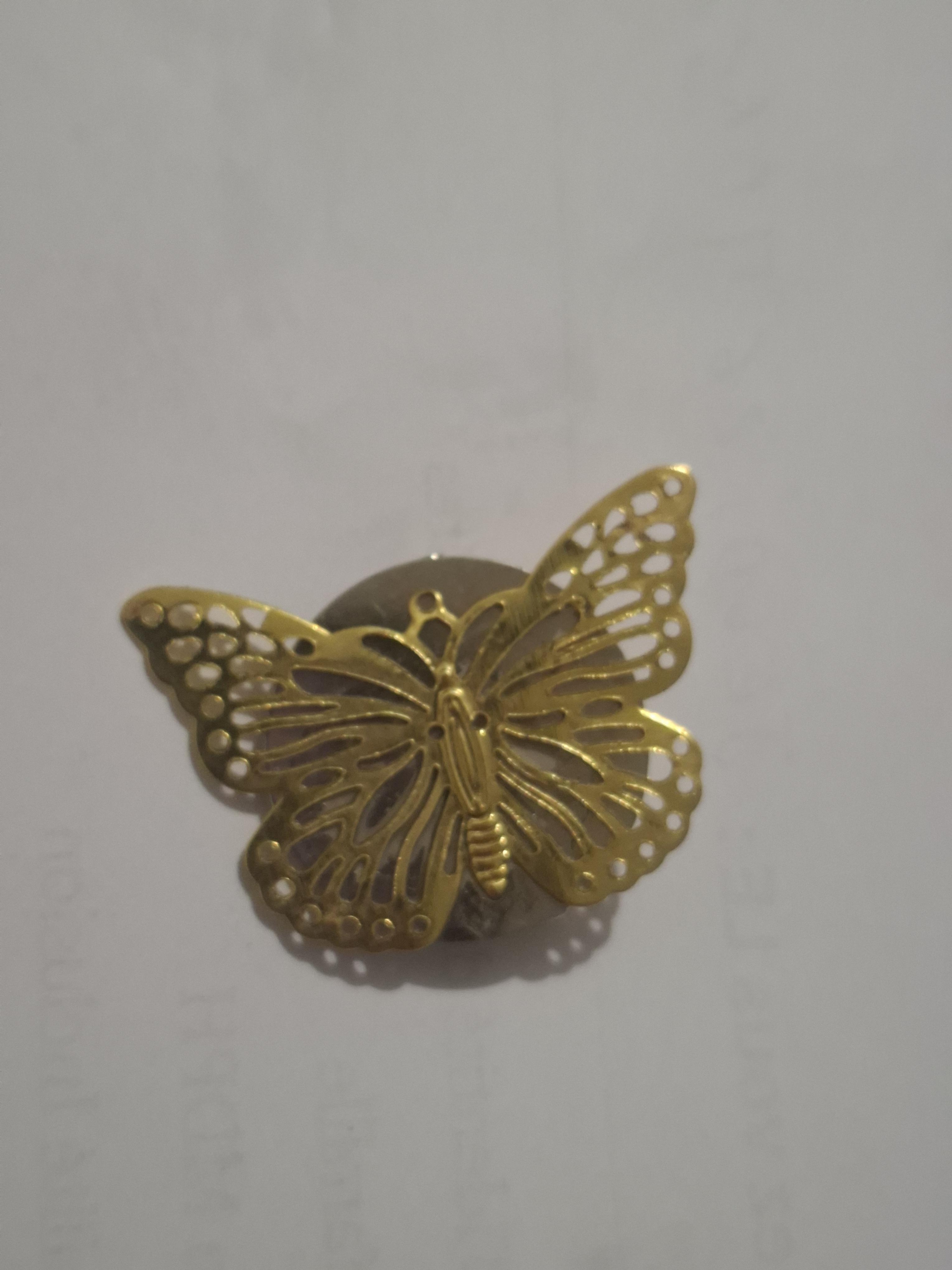 troc de troc broche papillon image 0