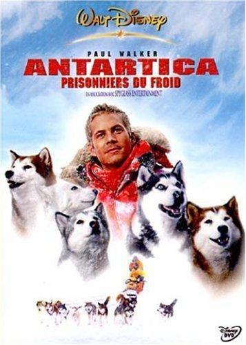 troc de troc dvd antartica prisonniers du froid image 0