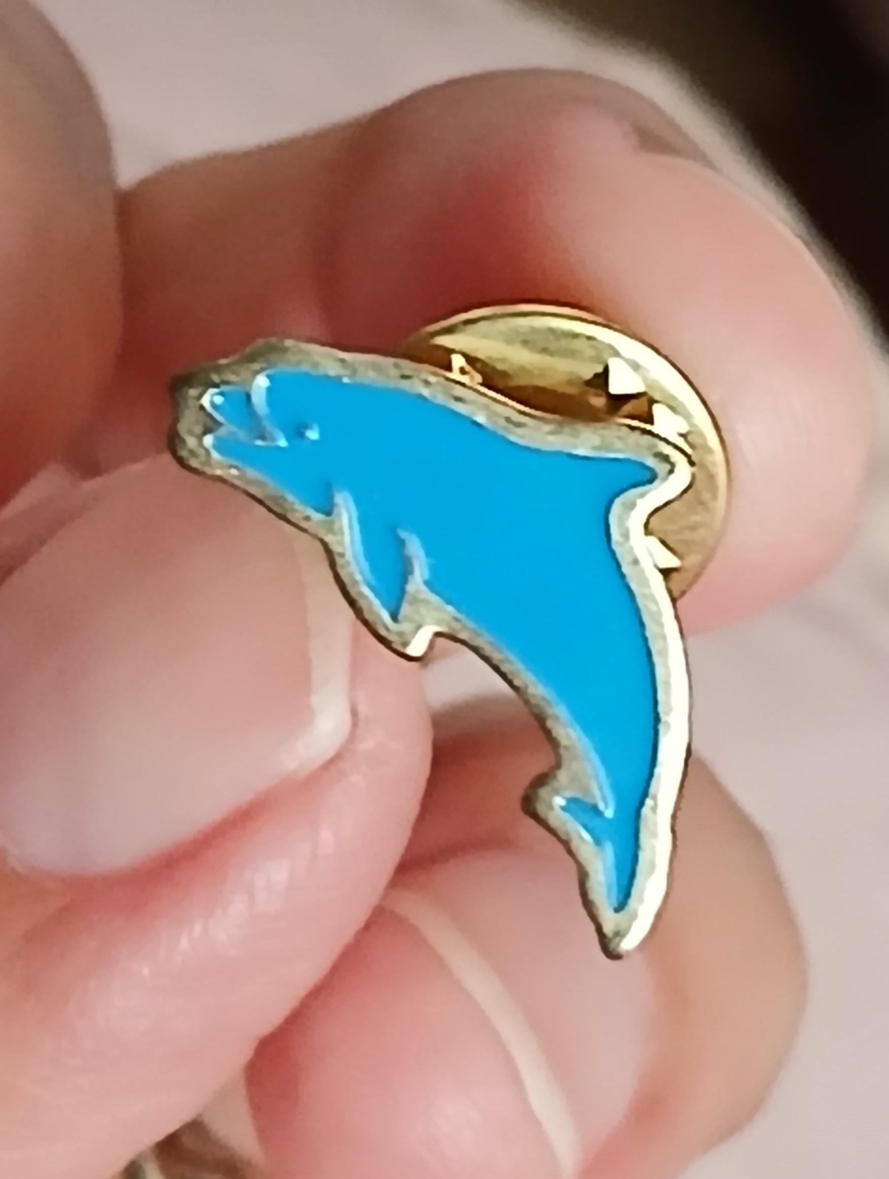 troc de troc un pins image 0