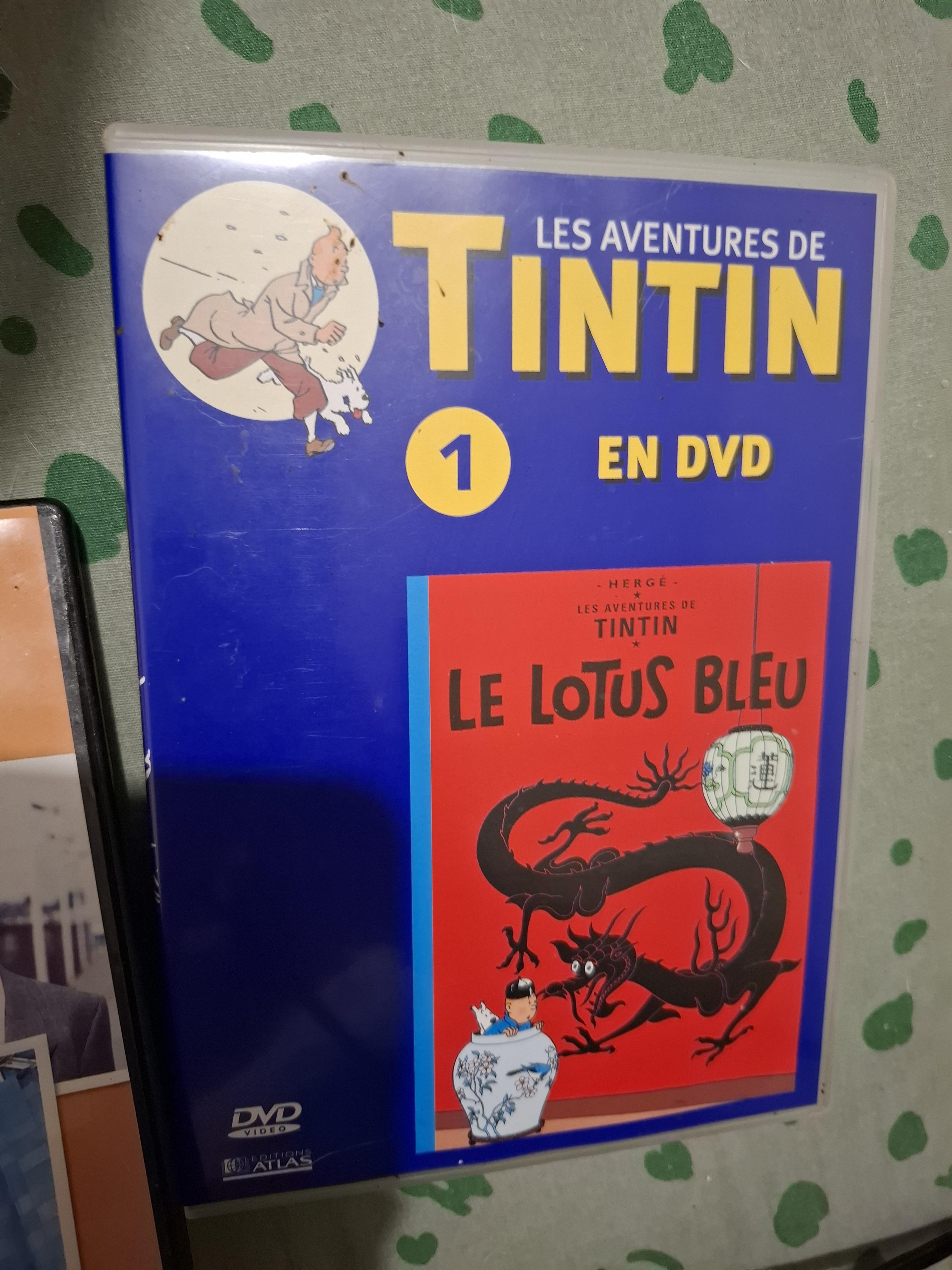 troc de troc dvd tintin  le lotus bleu image 0