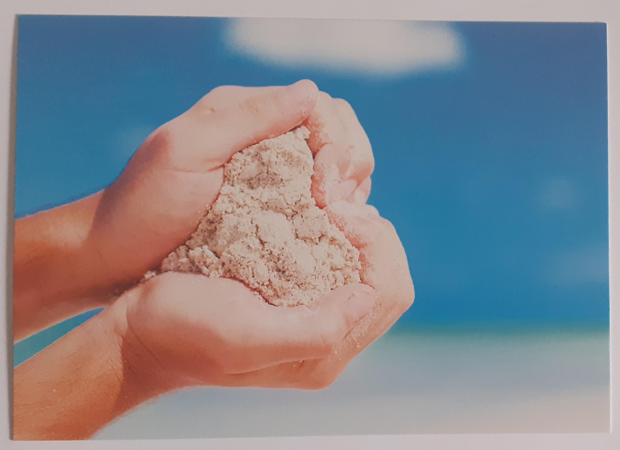 troc de troc reserve ginkgo carte postale amour 47 image 0