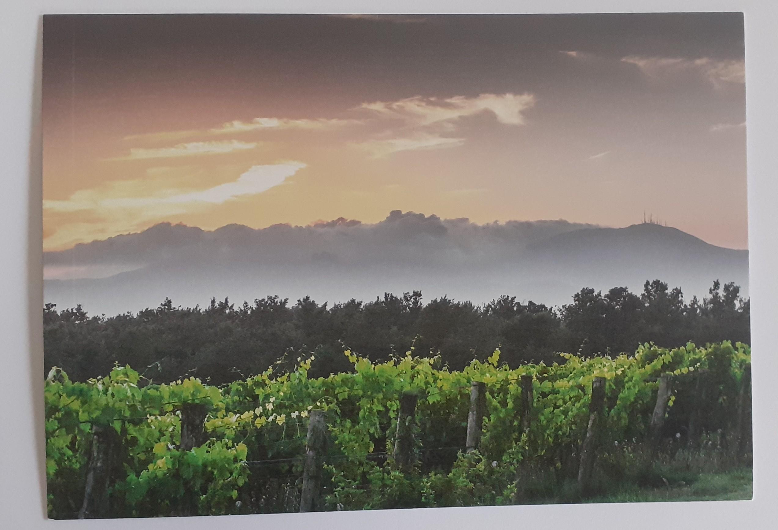 troc de troc cartes postales paysages image 0