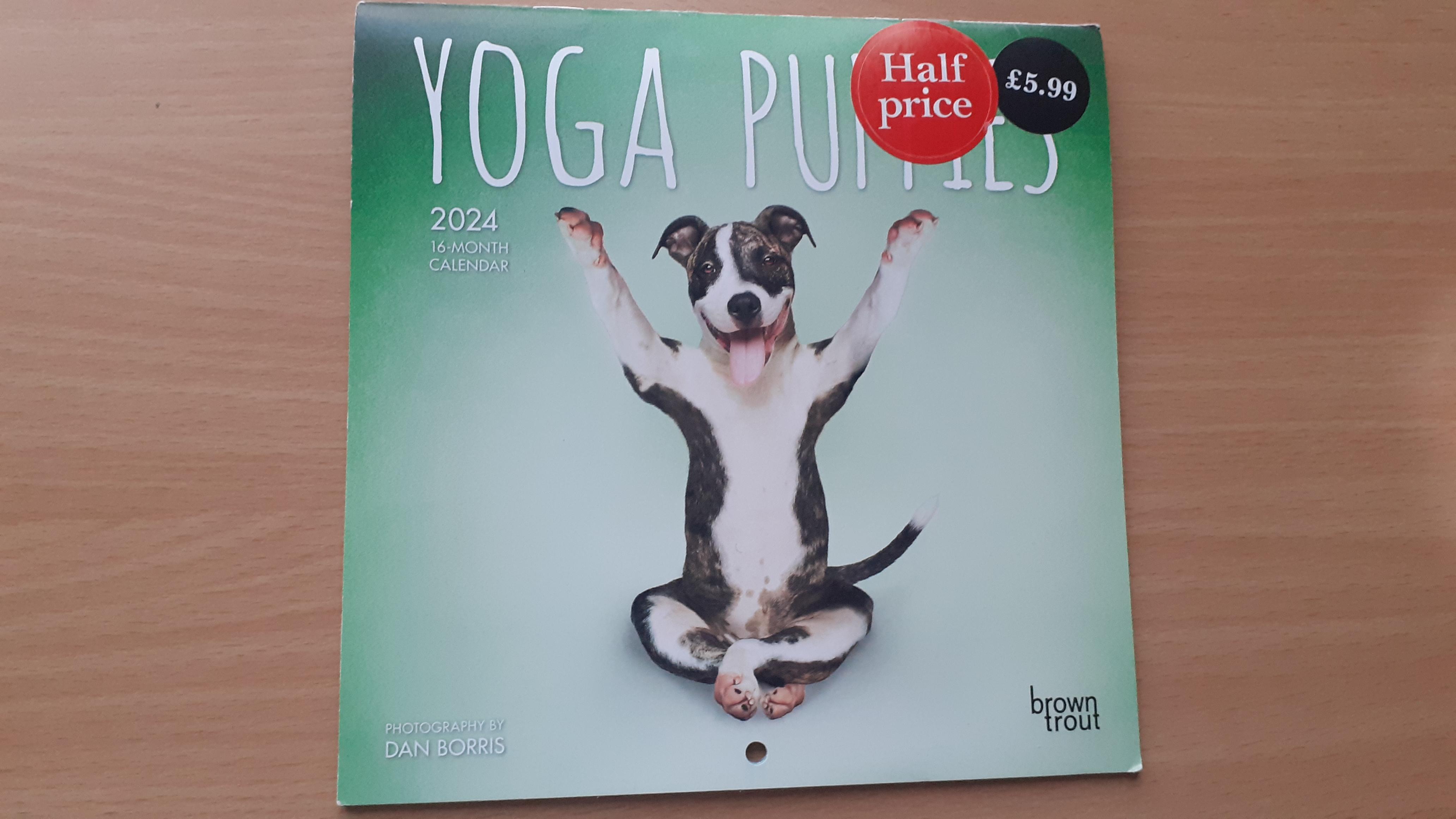 troc de troc agenda 2024 yoga puppies image 0