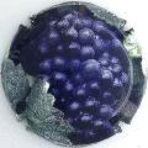 troc de troc capsule champagne générique 710 e image 0