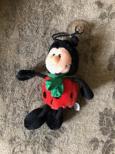 troc de troc coccinelle nici ventouse image 0