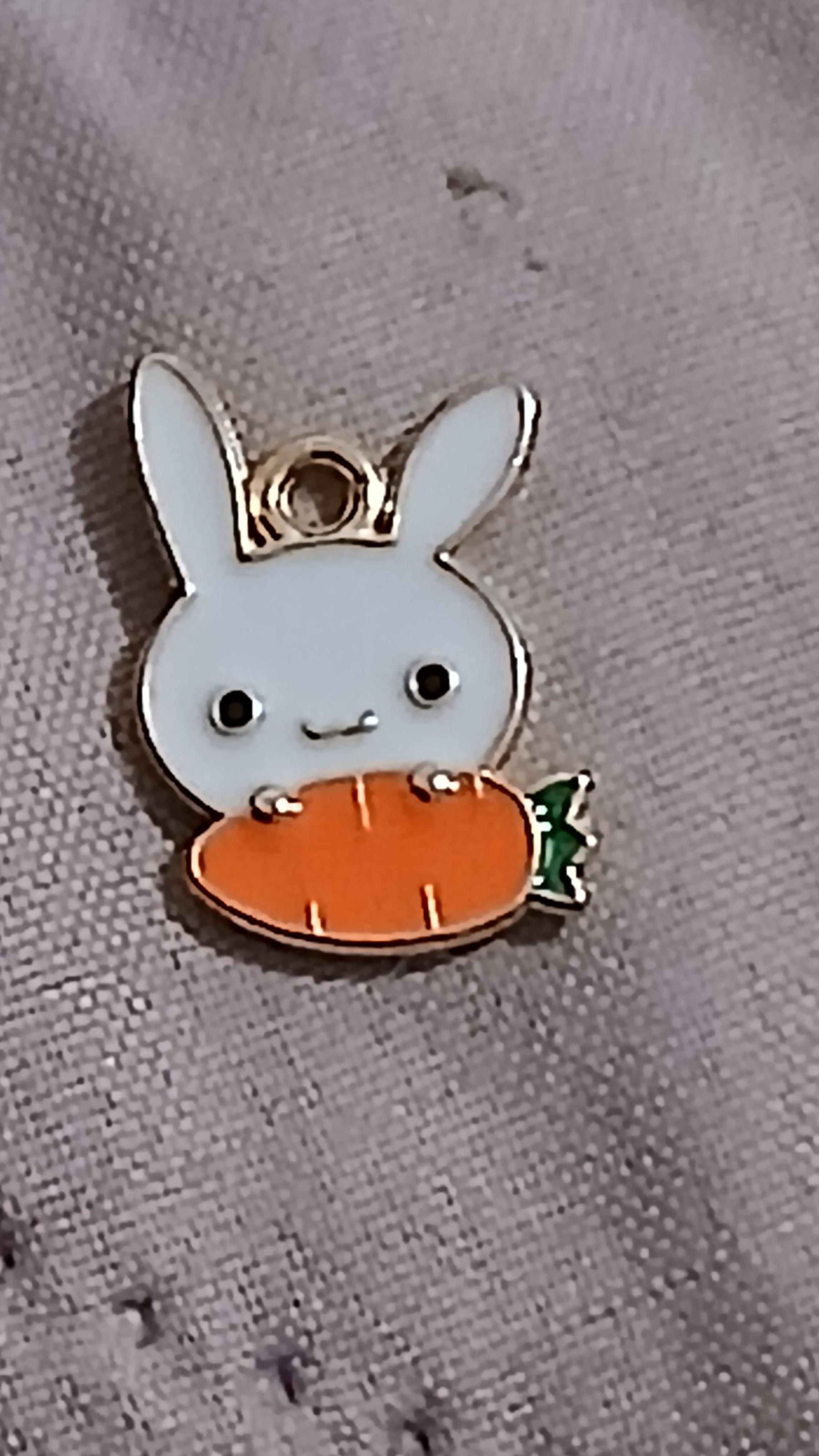 troc de troc reserver fidji  médaille image 0