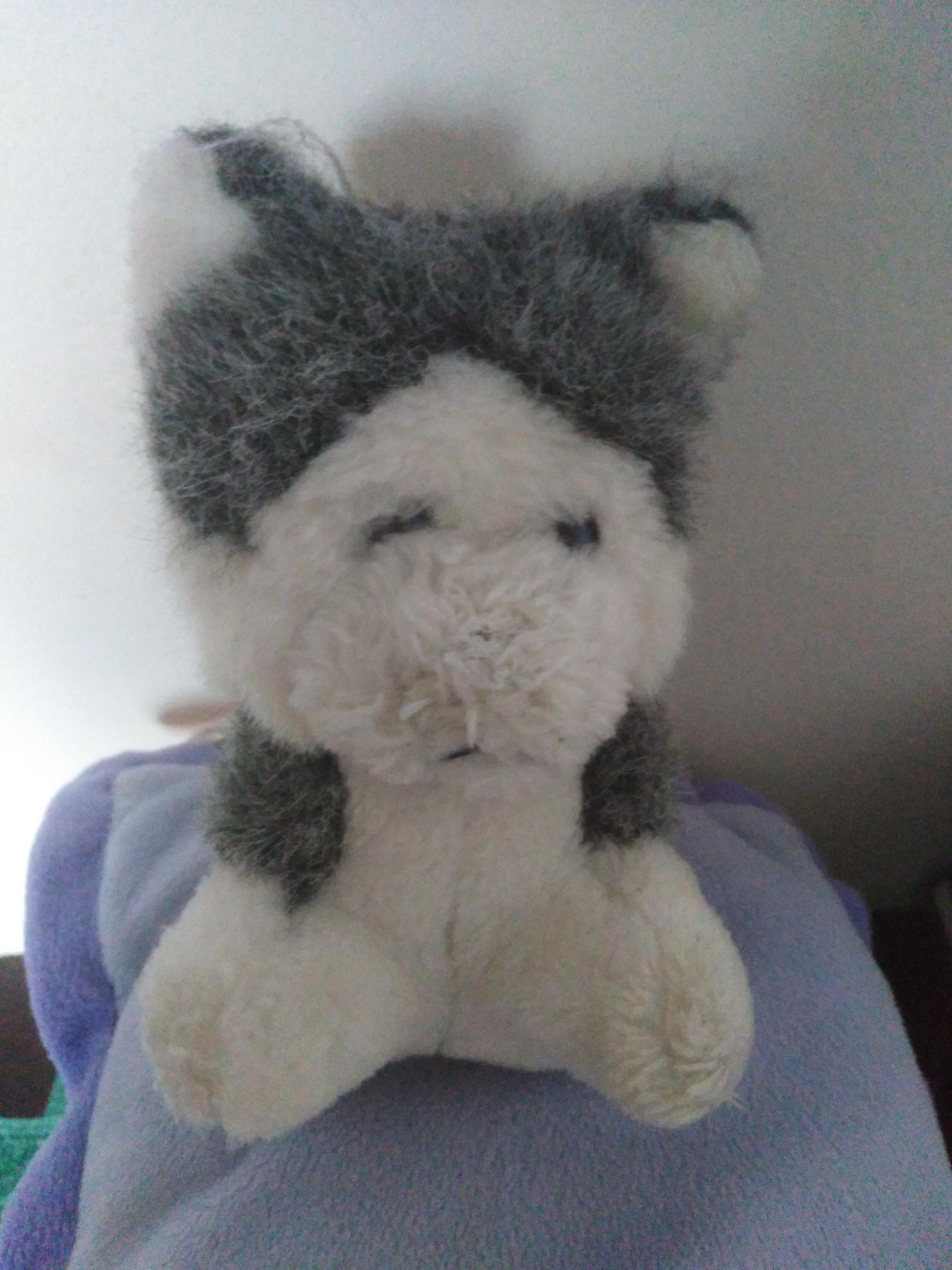 troc de troc peluche husky image 0