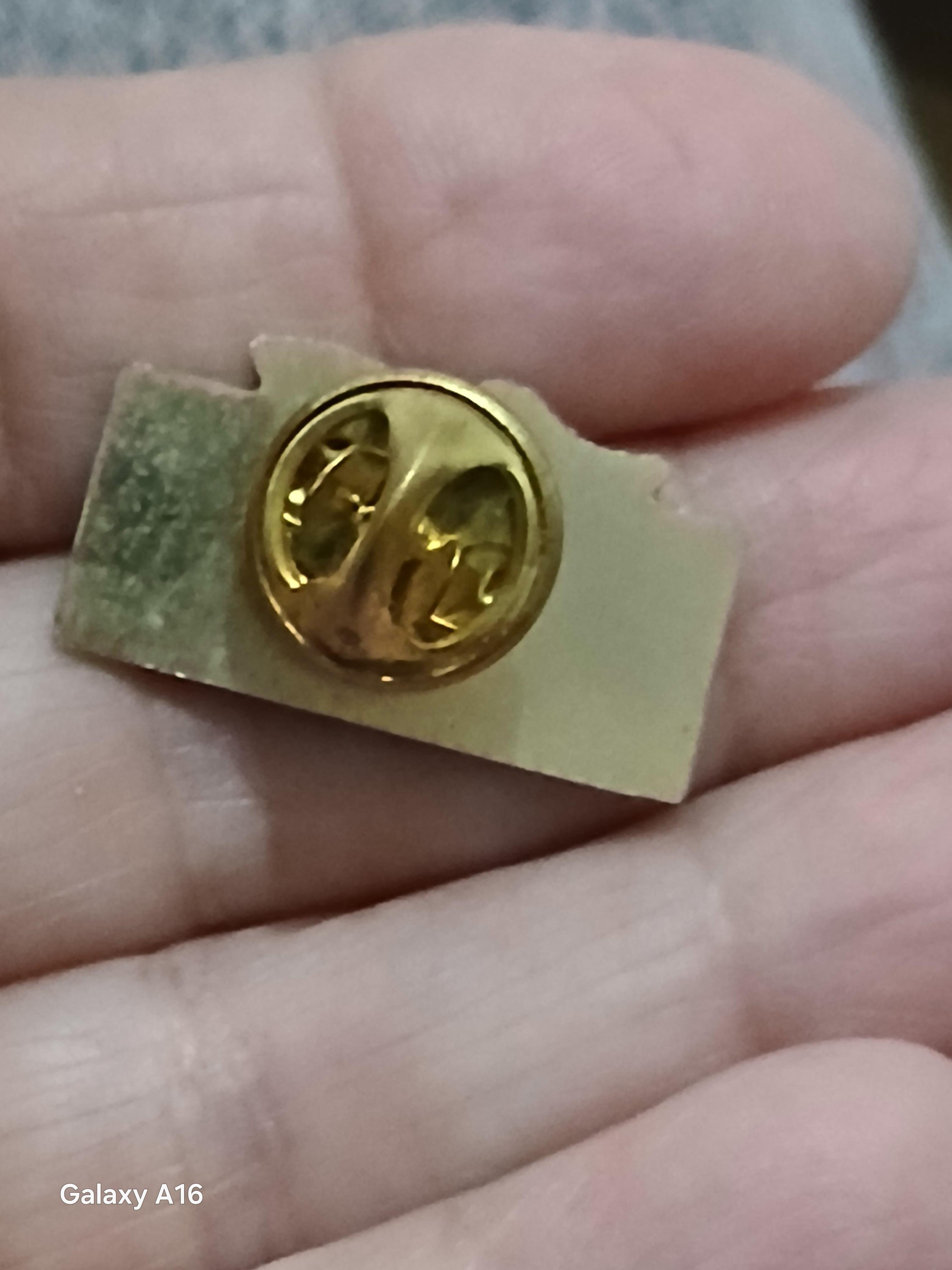 troc de troc un pins image 2