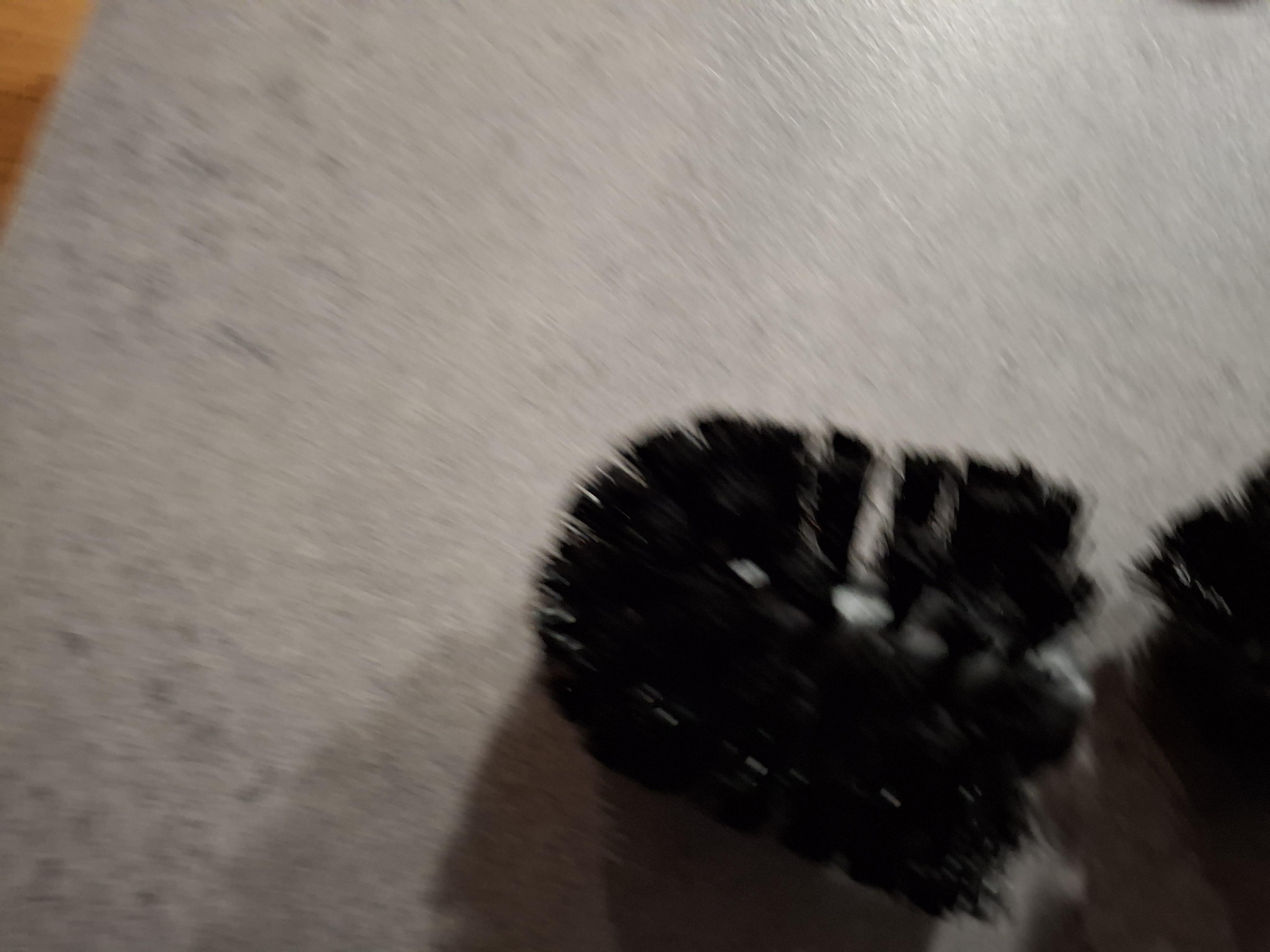 troc de troc brosse de remplacement image 2