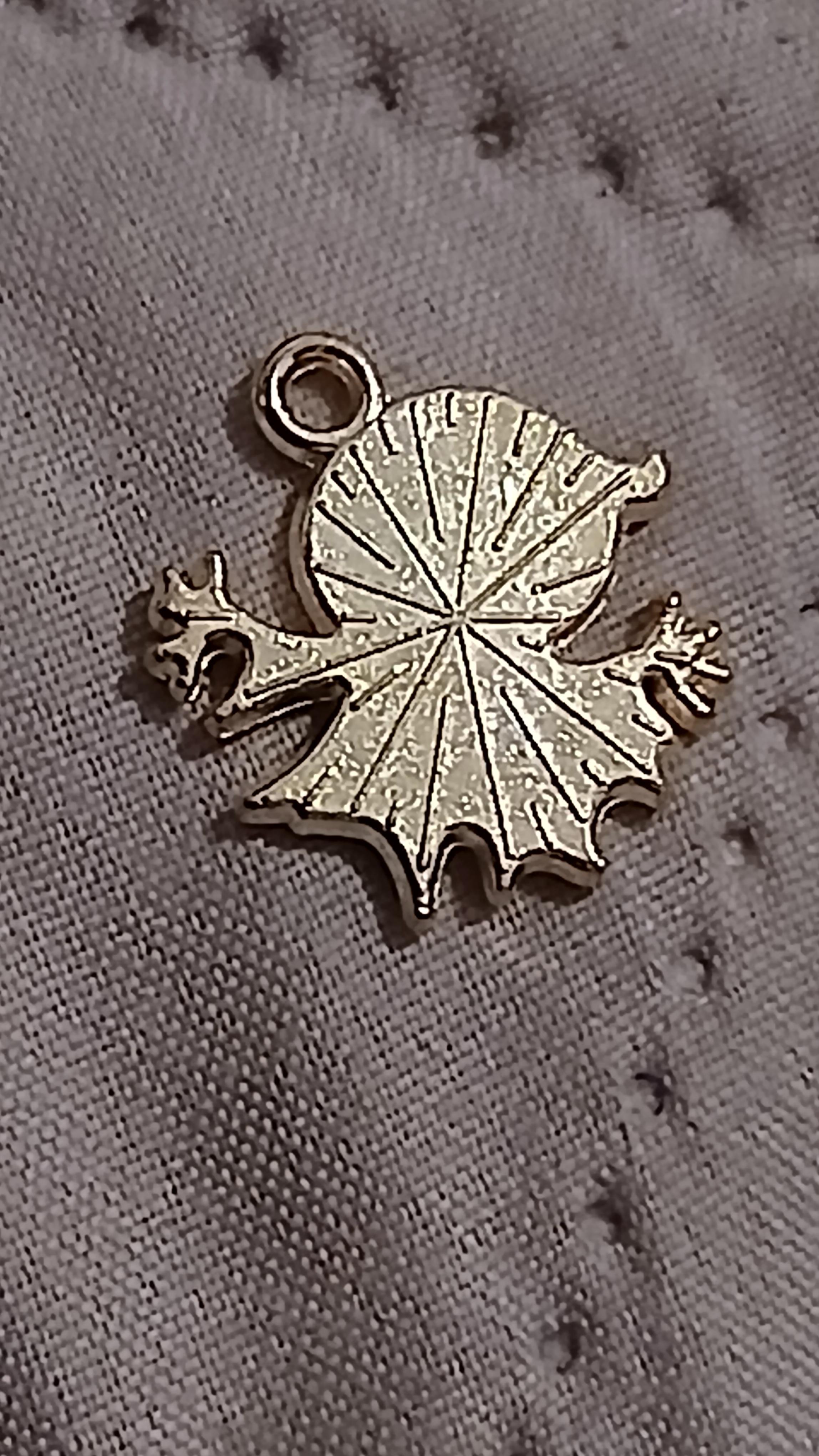 troc de troc reserver fidji  médaille image 1