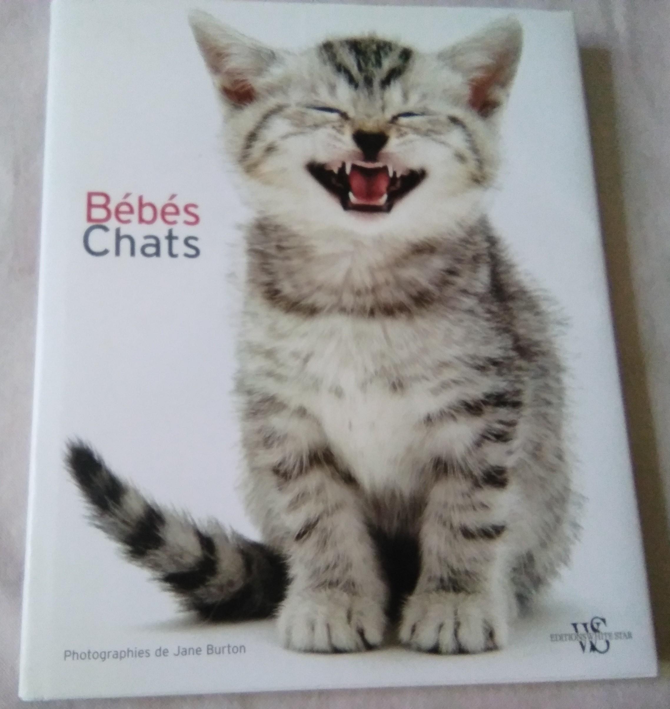 troc de troc beau livre sur les chats, très bon état image 0