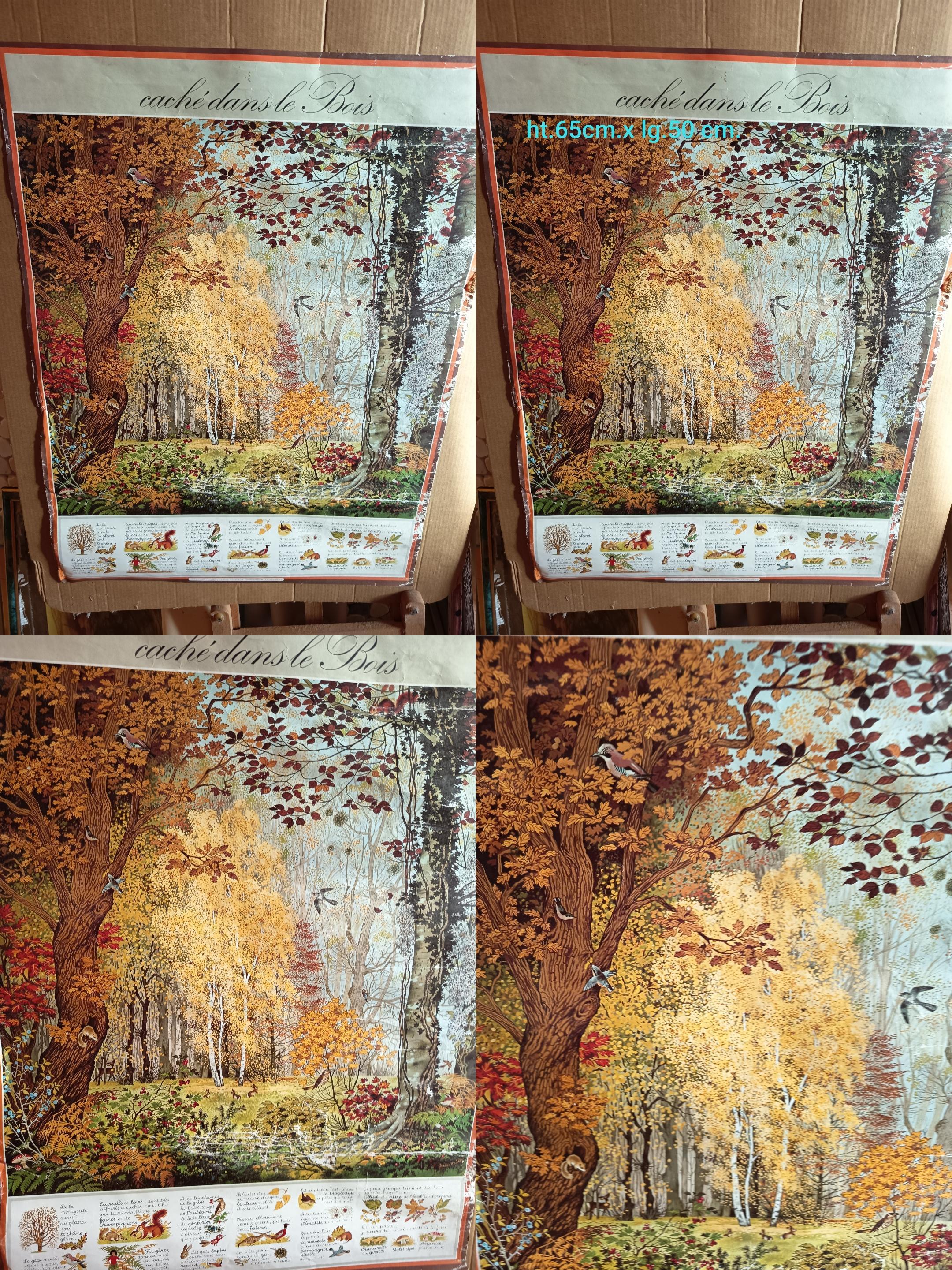 troc de troc affiche nature image 0