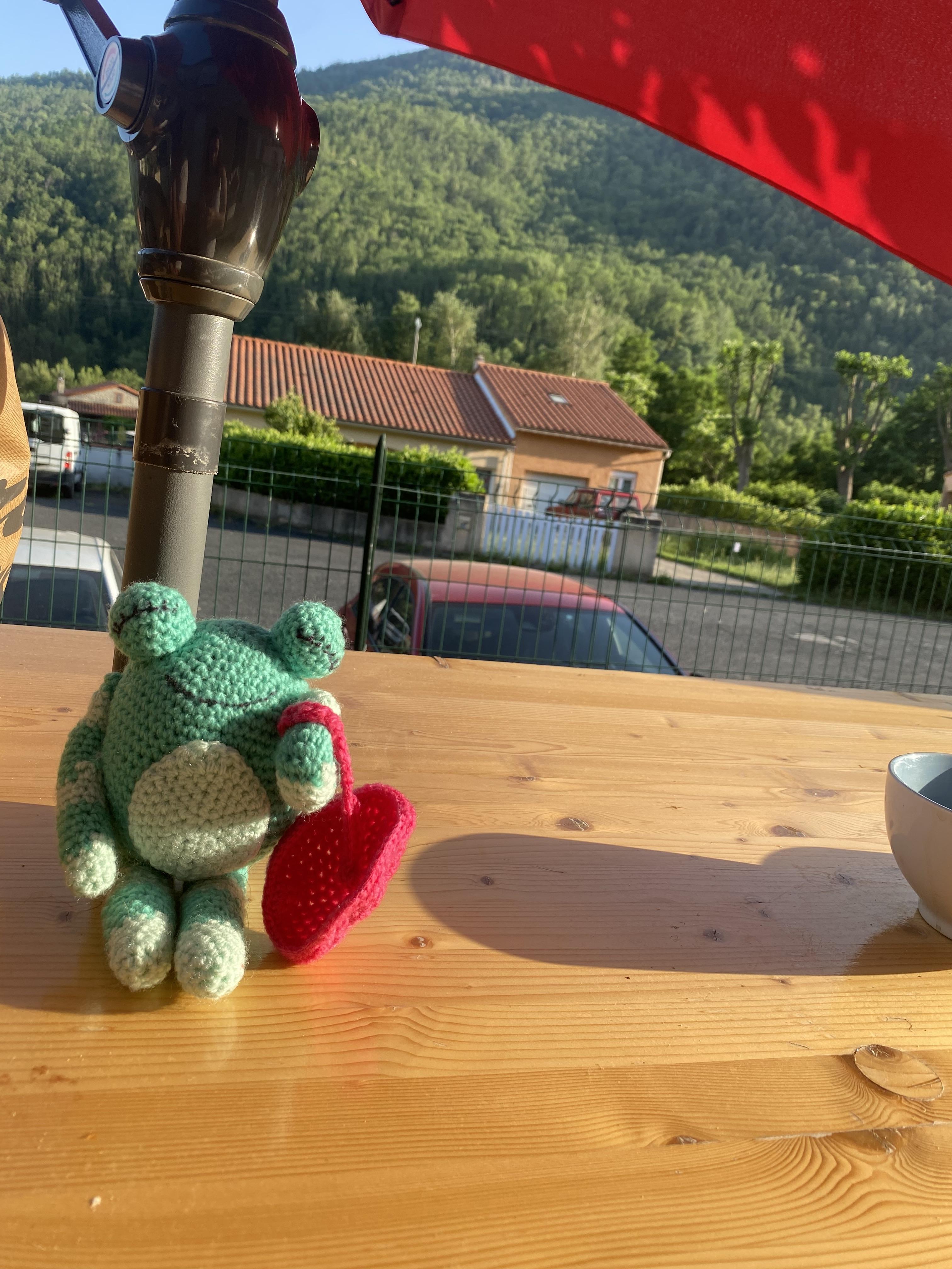troc de troc grenouille image 1
