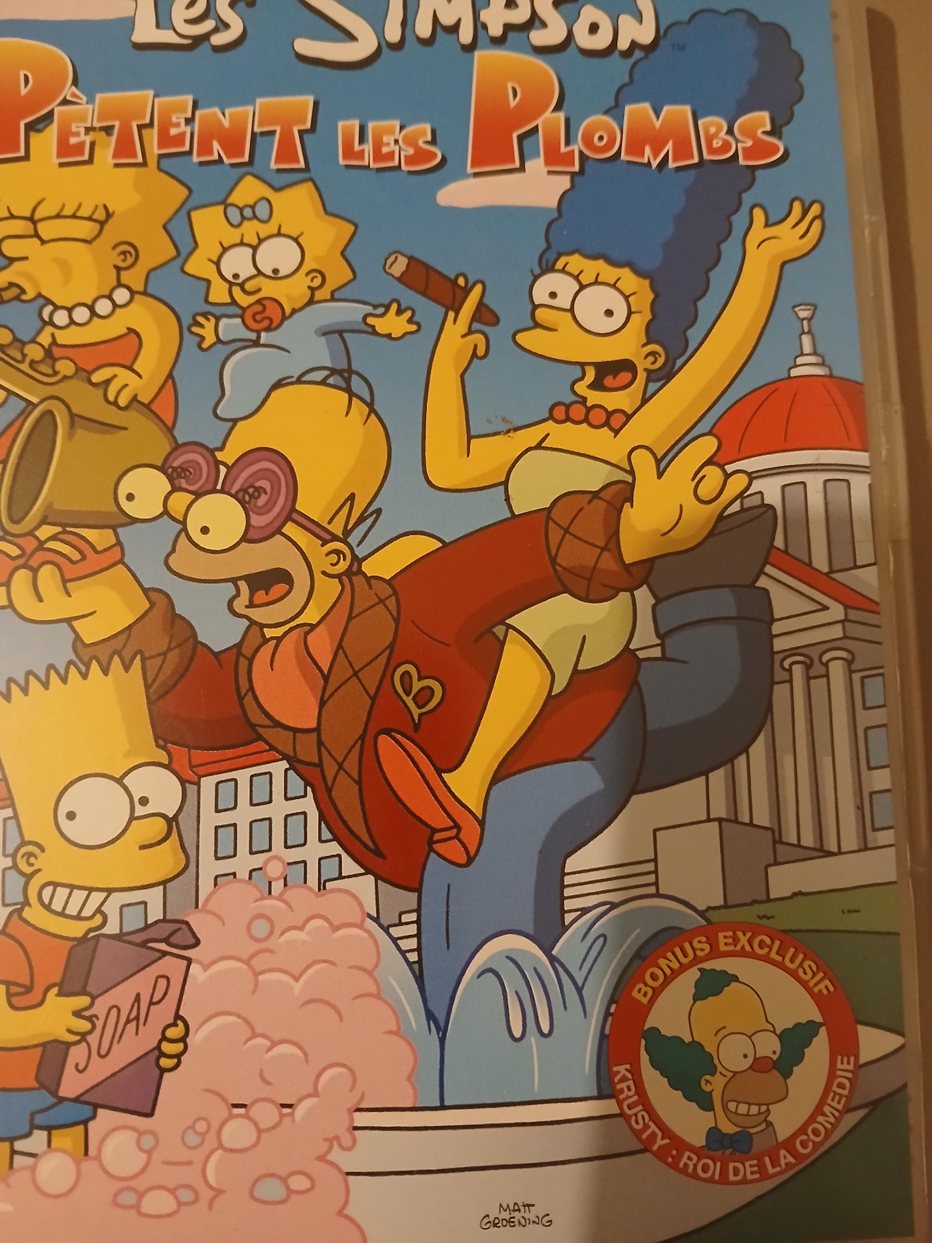 troc de troc dvd les simpsons image 0