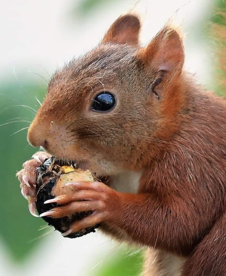 troc de troc pour diverstroc image 0