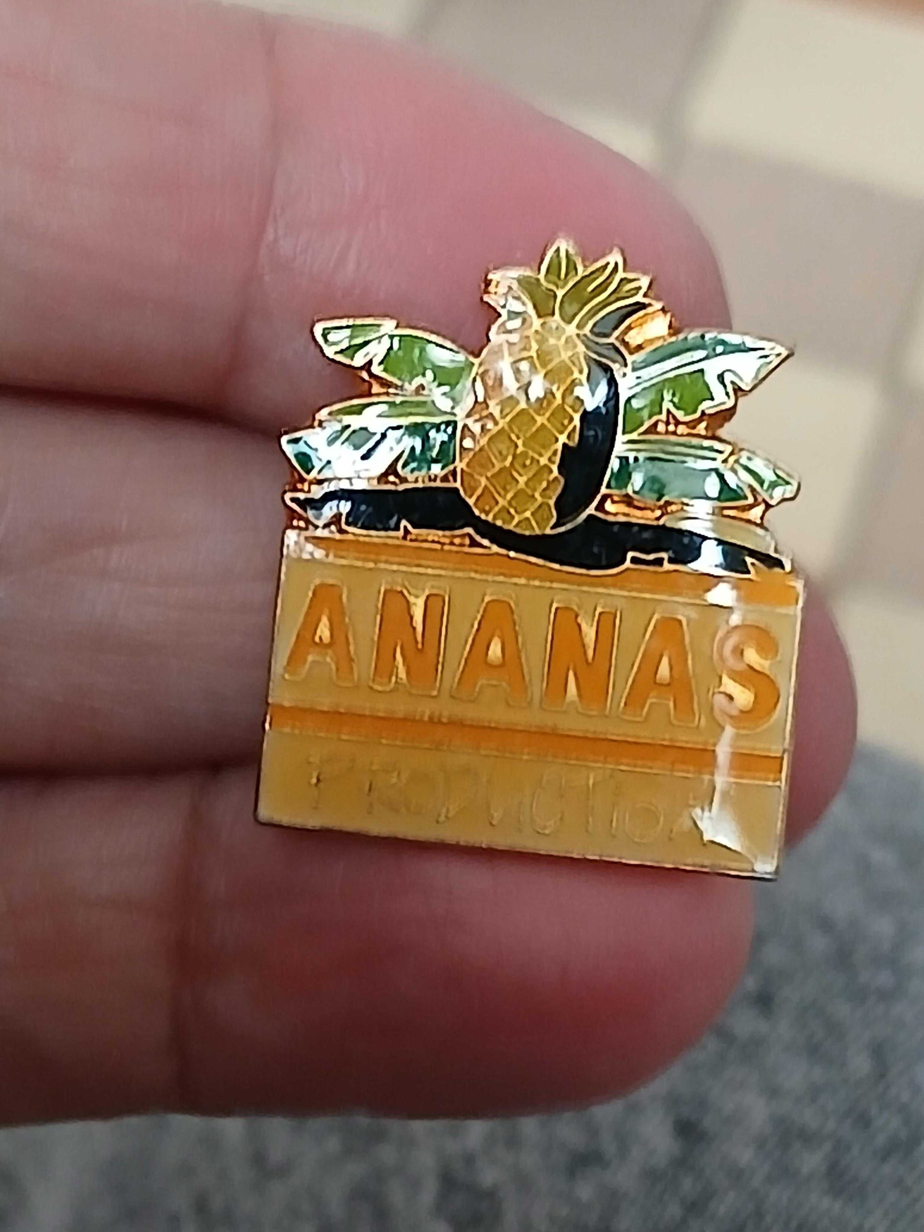 troc de troc un pins image 1