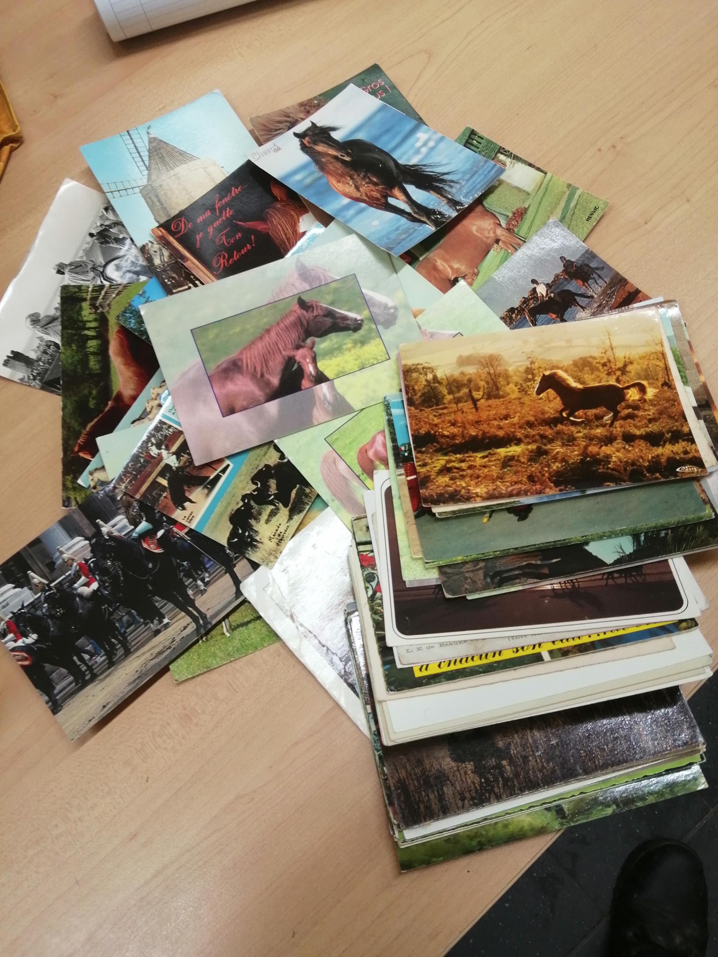 troc de troc lot cartes postales cheval image 0