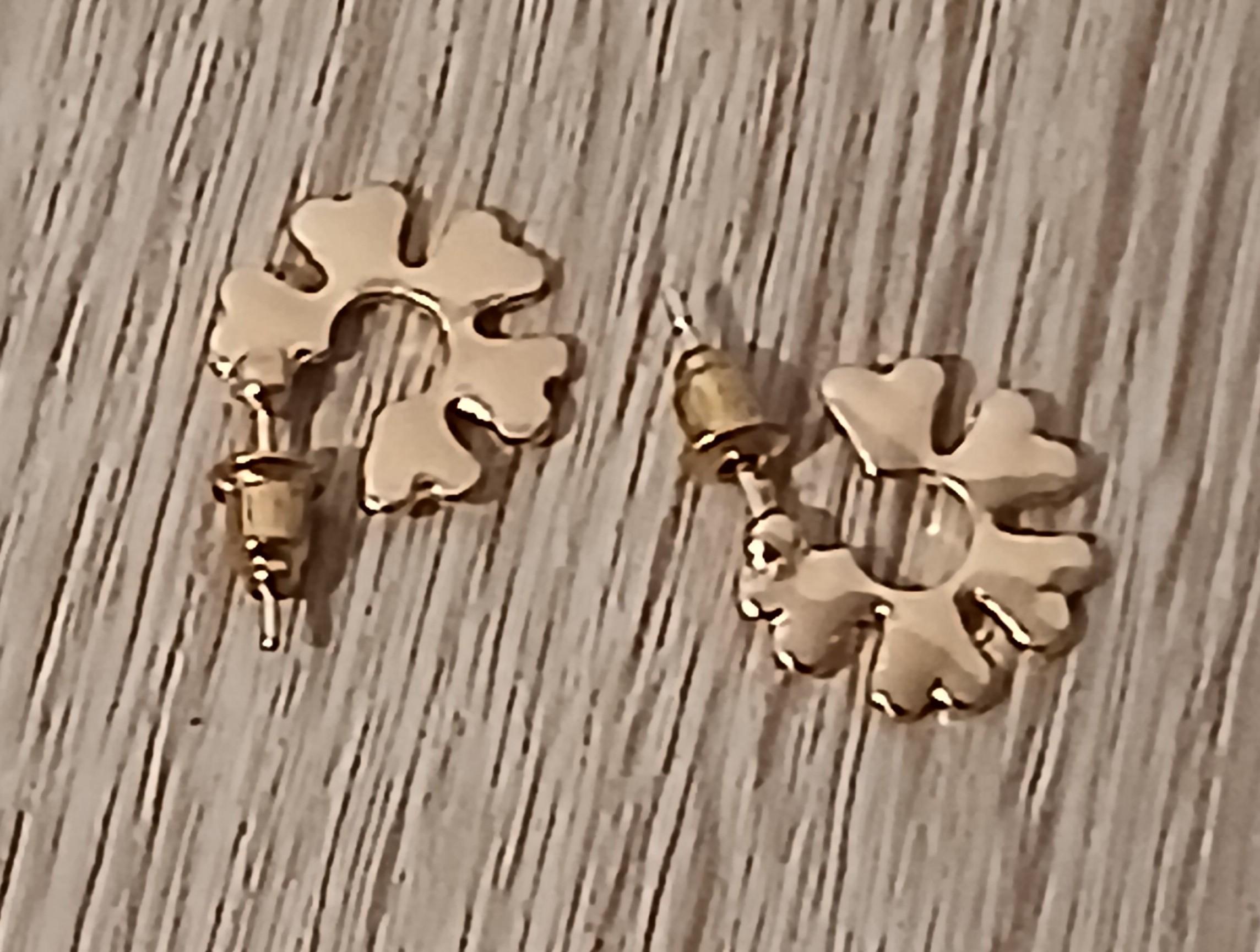 troc de troc reserver troqueuse une paire de boucle d oreille image 1
