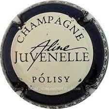 troc de troc capsule champagne juvenelle image 0