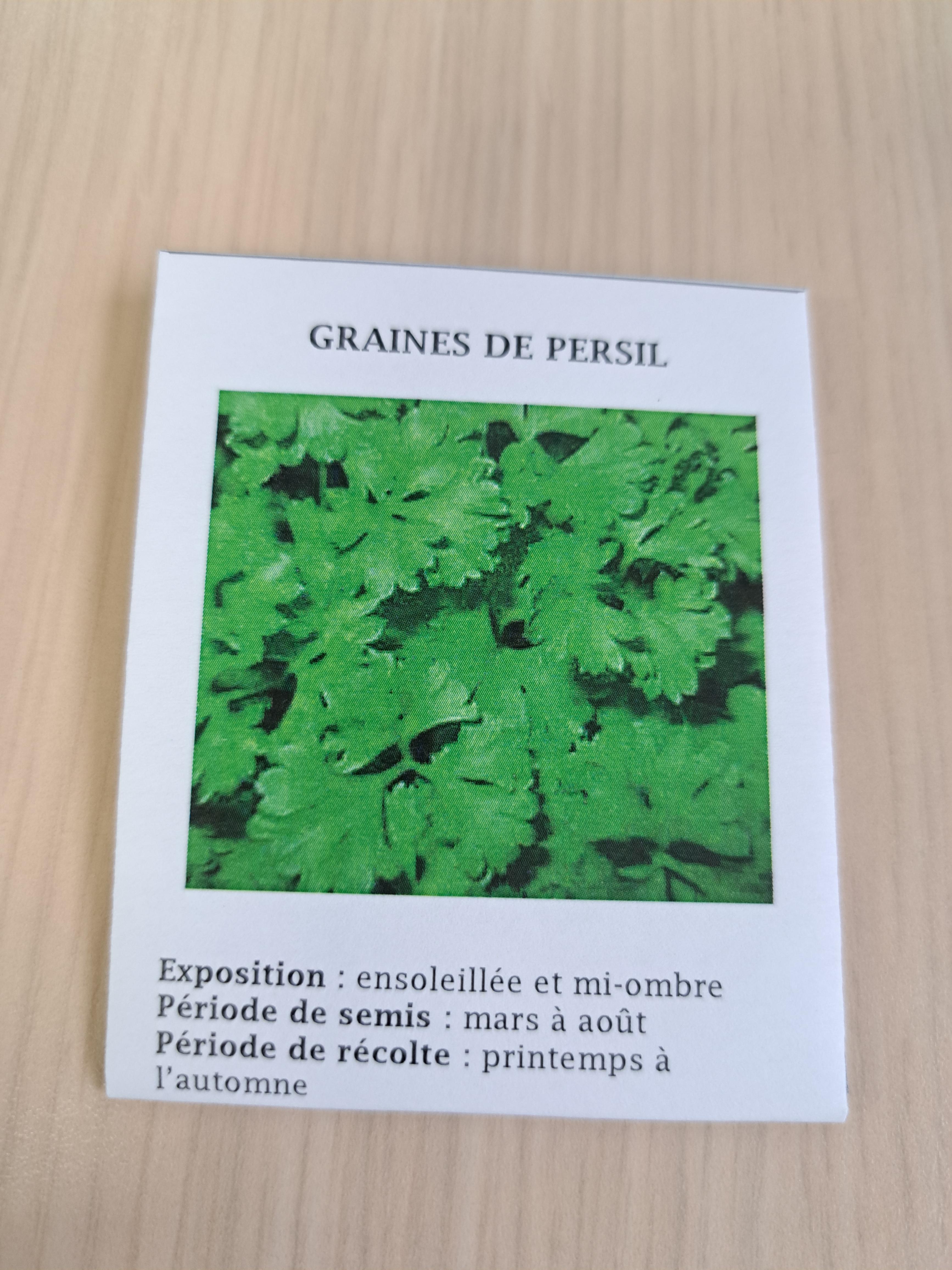 troc de troc pochette de graines de persil image 0