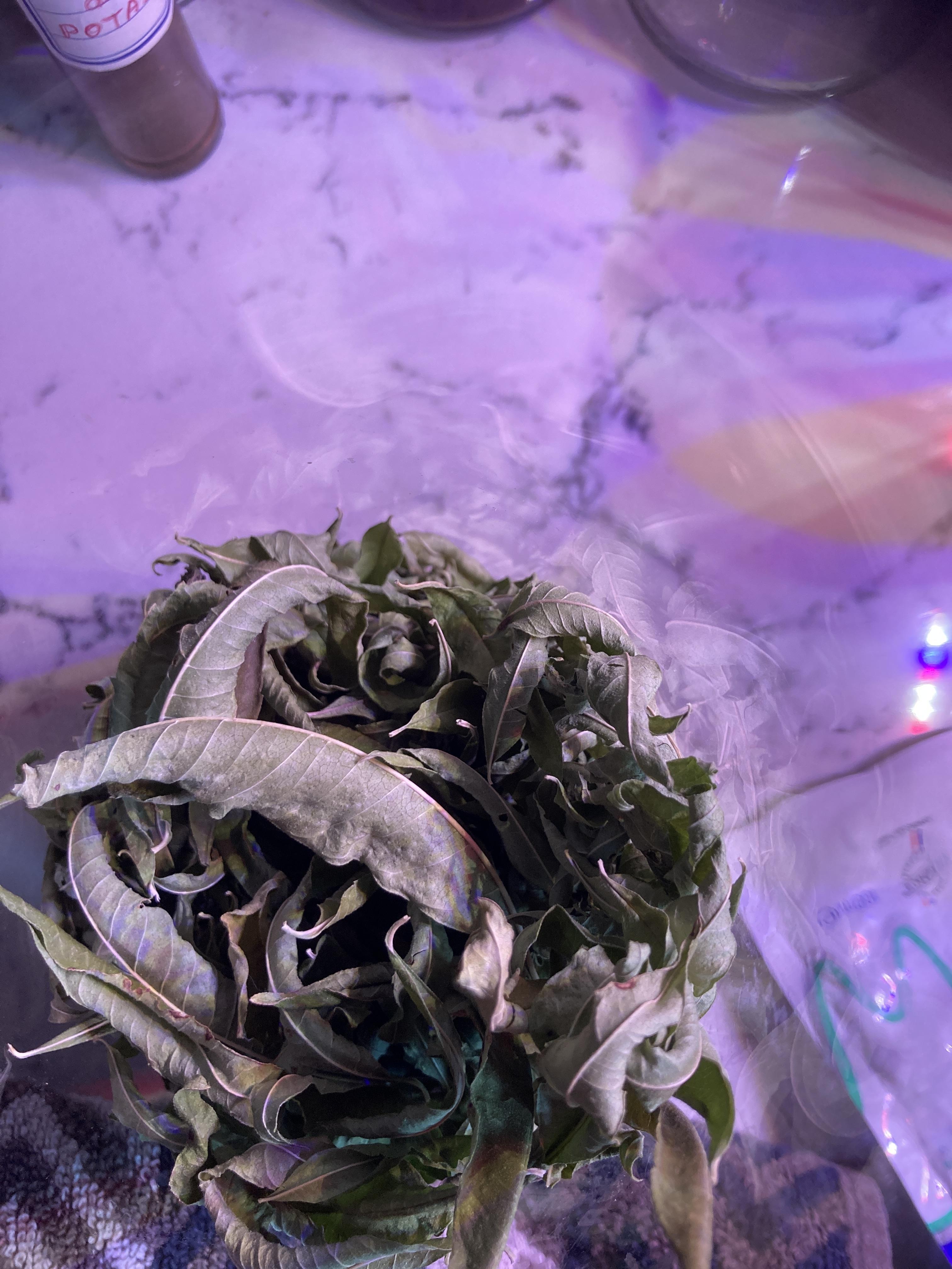 troc de troc verveine citronnelle séchée 30 g image 1