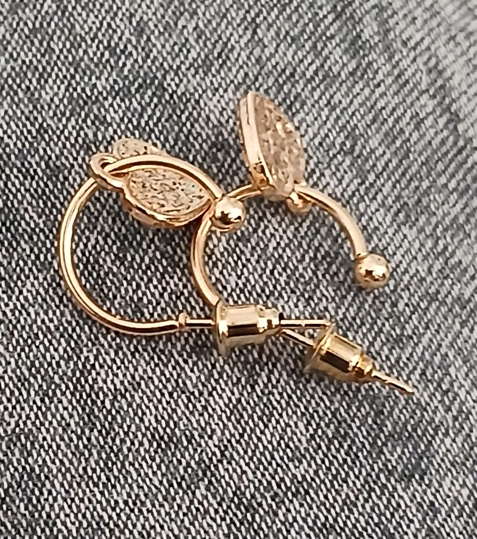 troc de troc une paire de boucle d oreille image 1