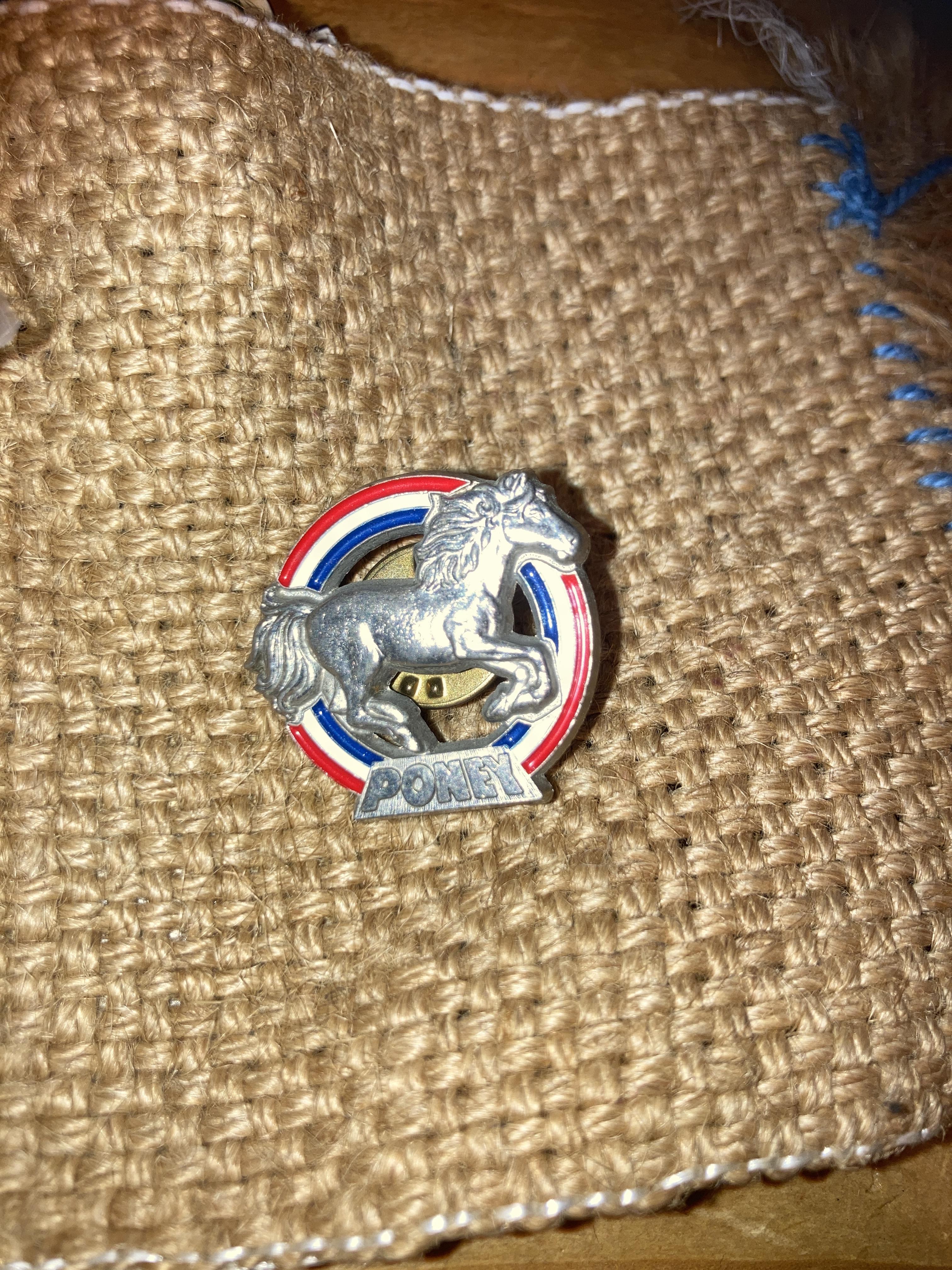 troc de troc pin’s poney image 0