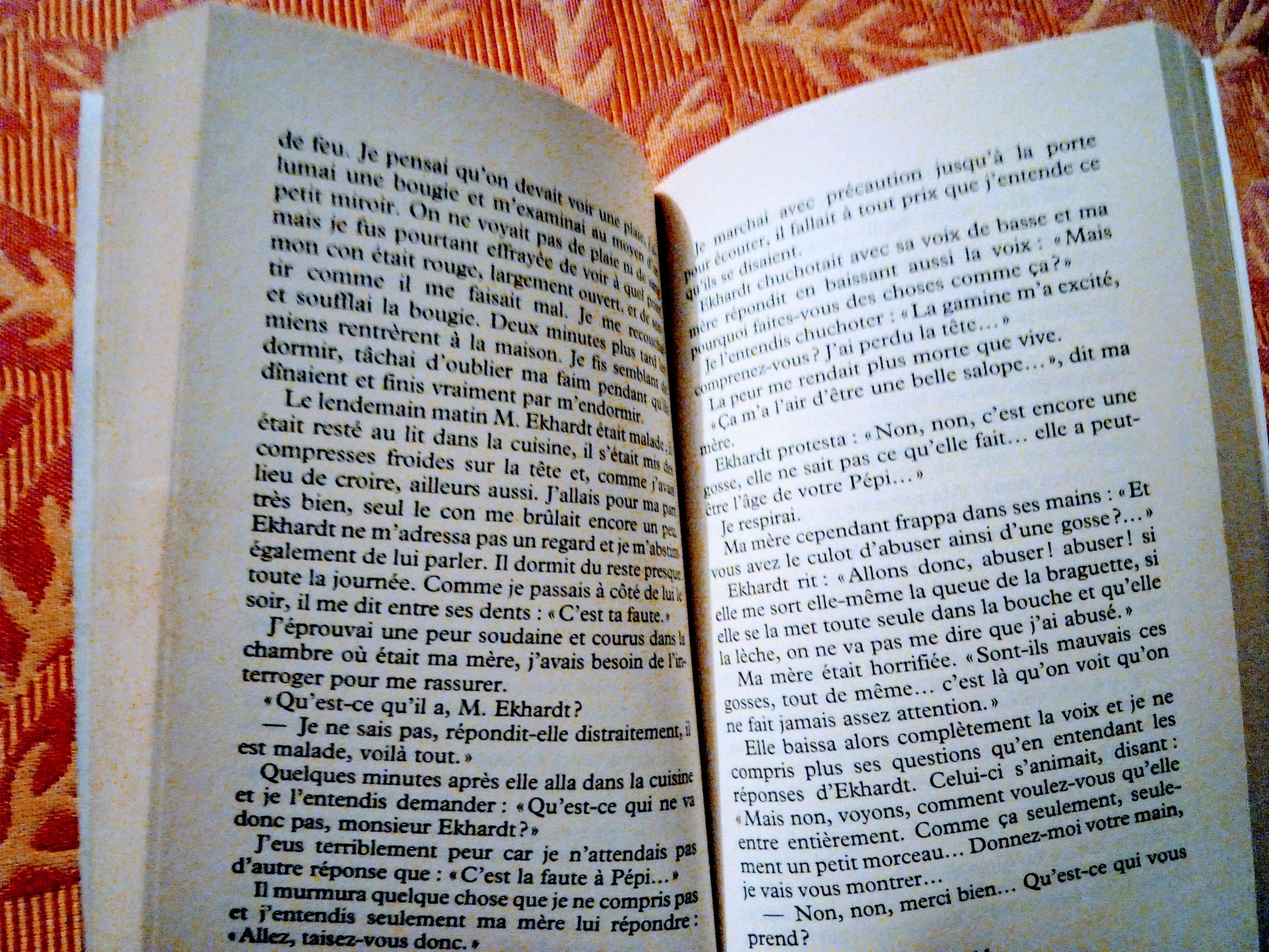 troc de troc histoire d'une fille de vienne racontÉe par elle-mÊme image 1
