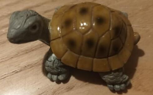 troc de troc cheloniophilie - tortue résine image 1