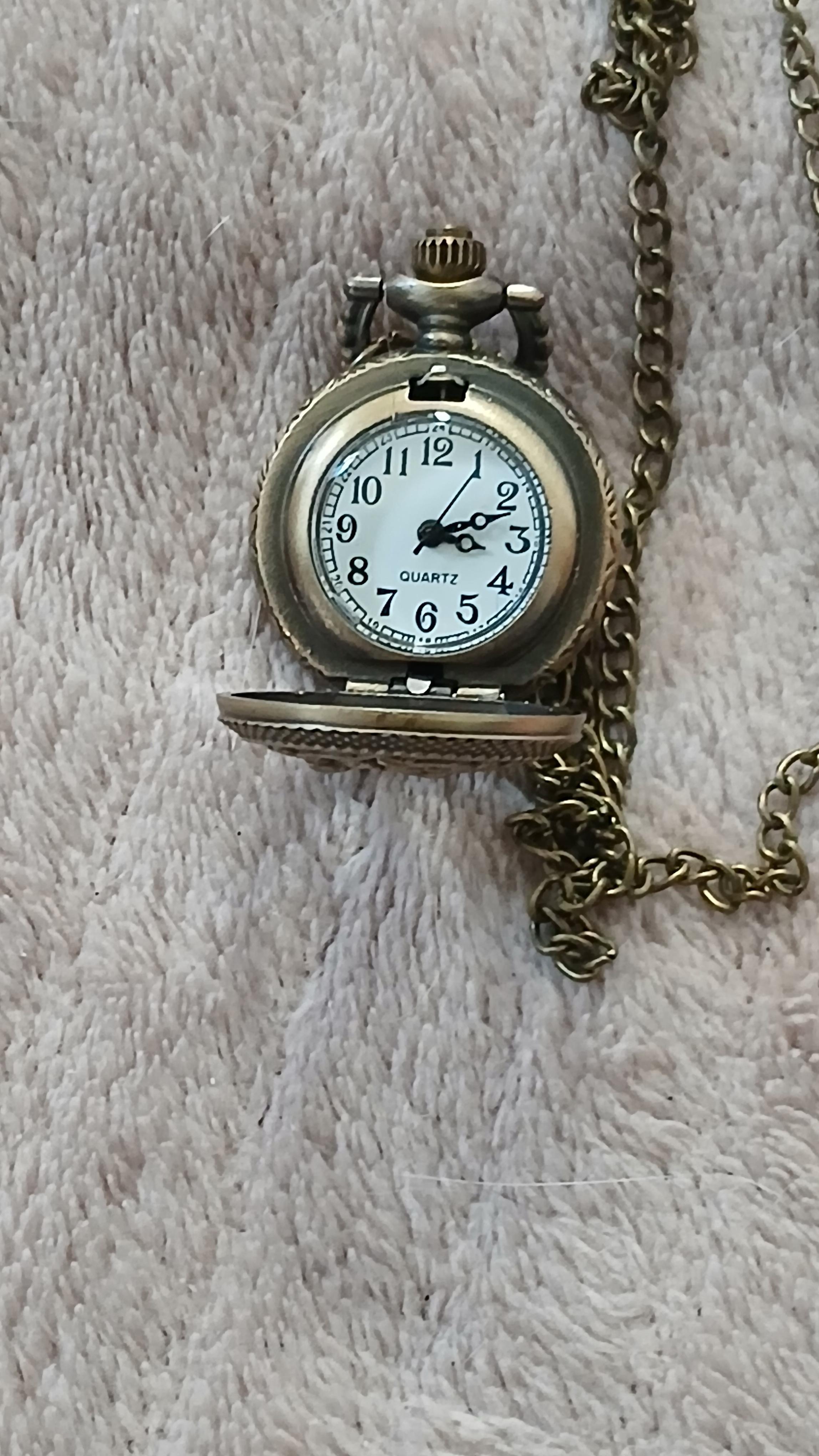 troc de troc reserver. sisi. montre a gousset femme image 0