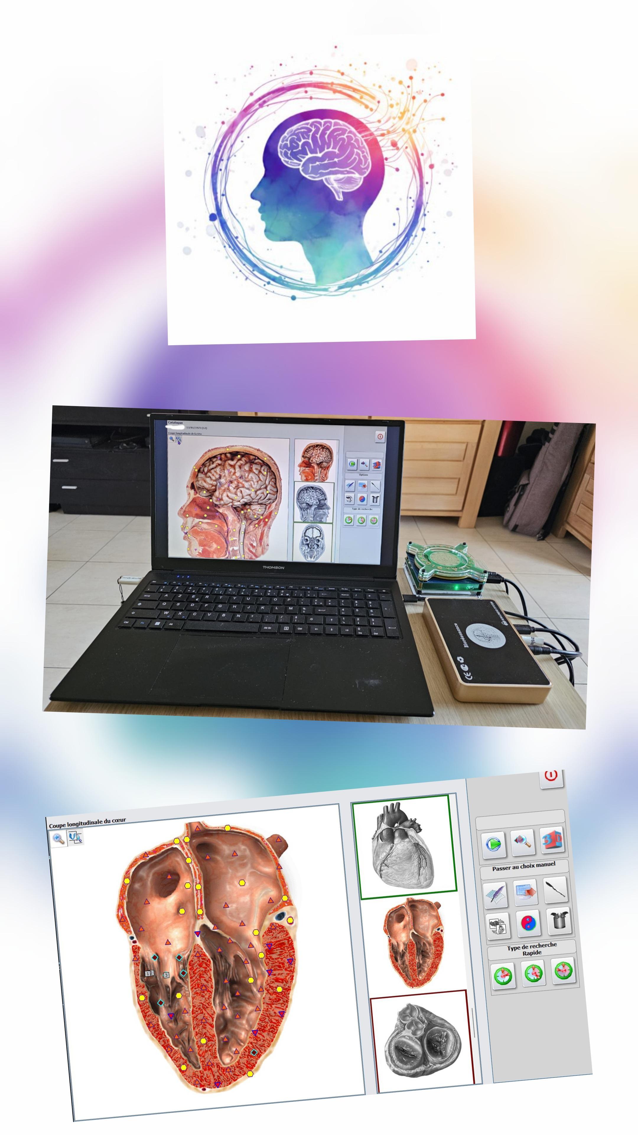 troc de troc soins de biorésonance image 0