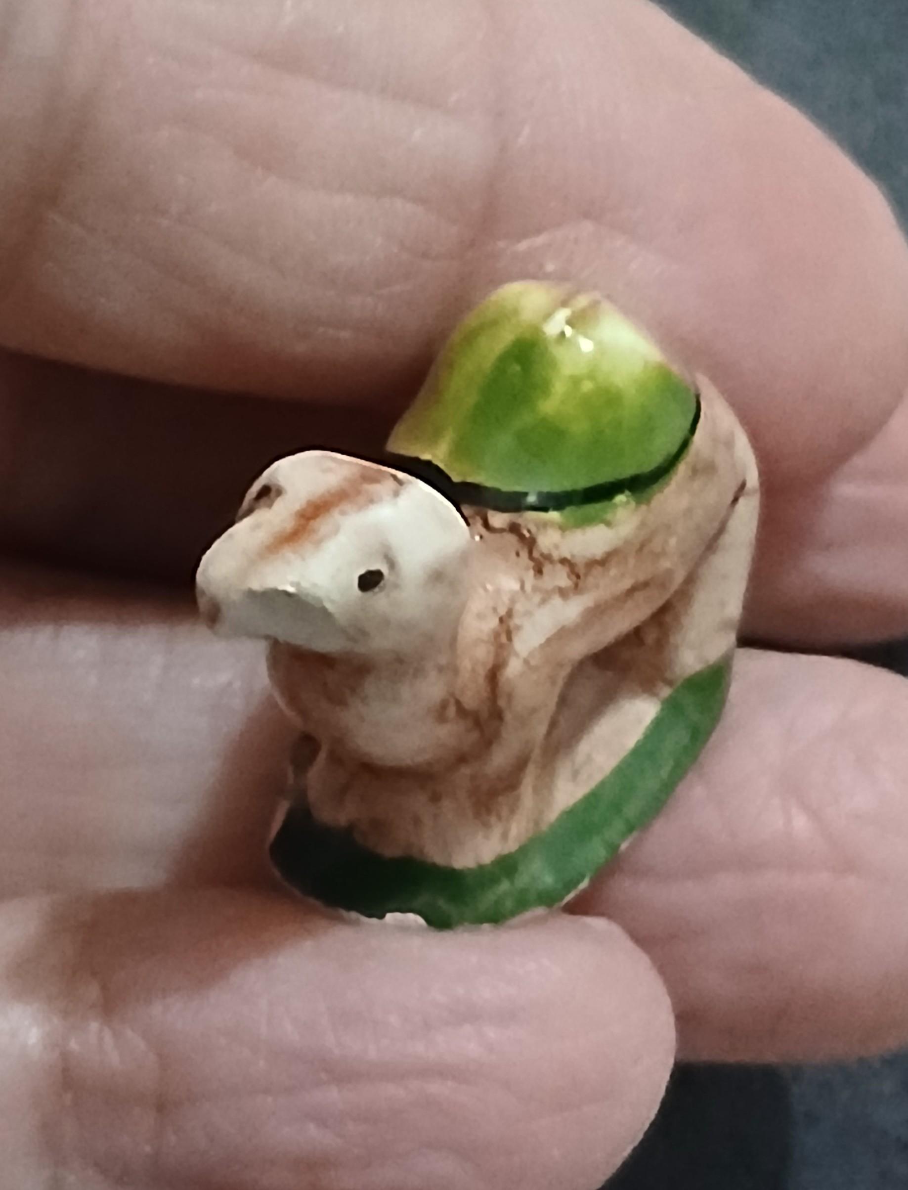 troc de troc une fève image 0