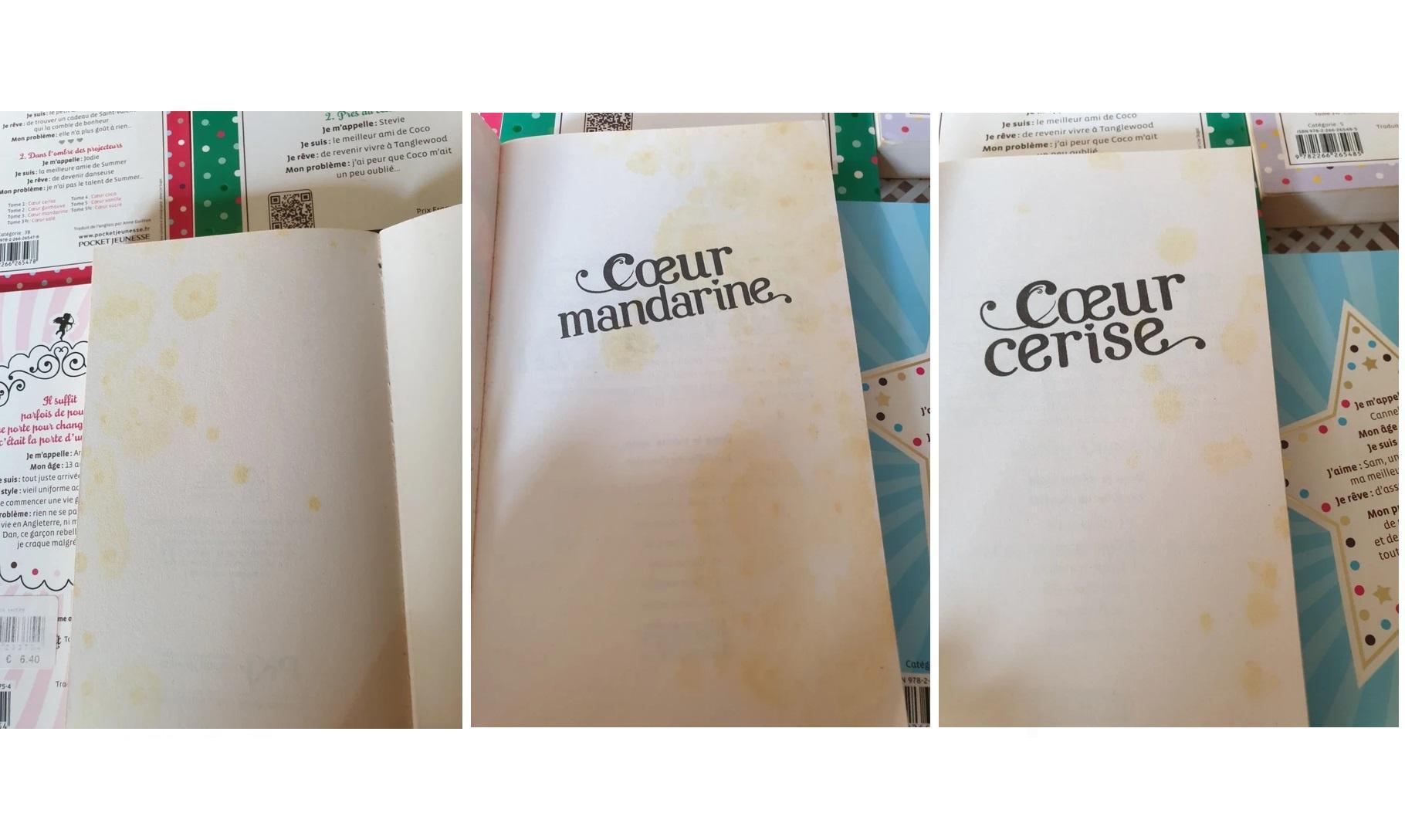 troc de troc 15 livres de l'auteure des filles au chocolat image 1